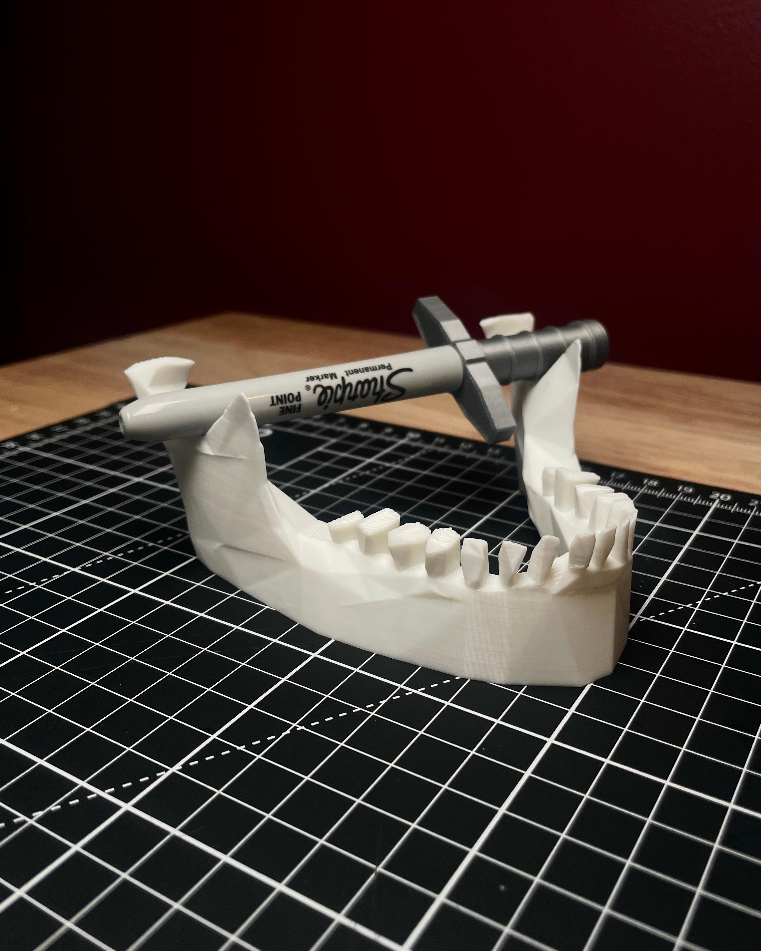 Crystal Jaw Pen Stand 3d model