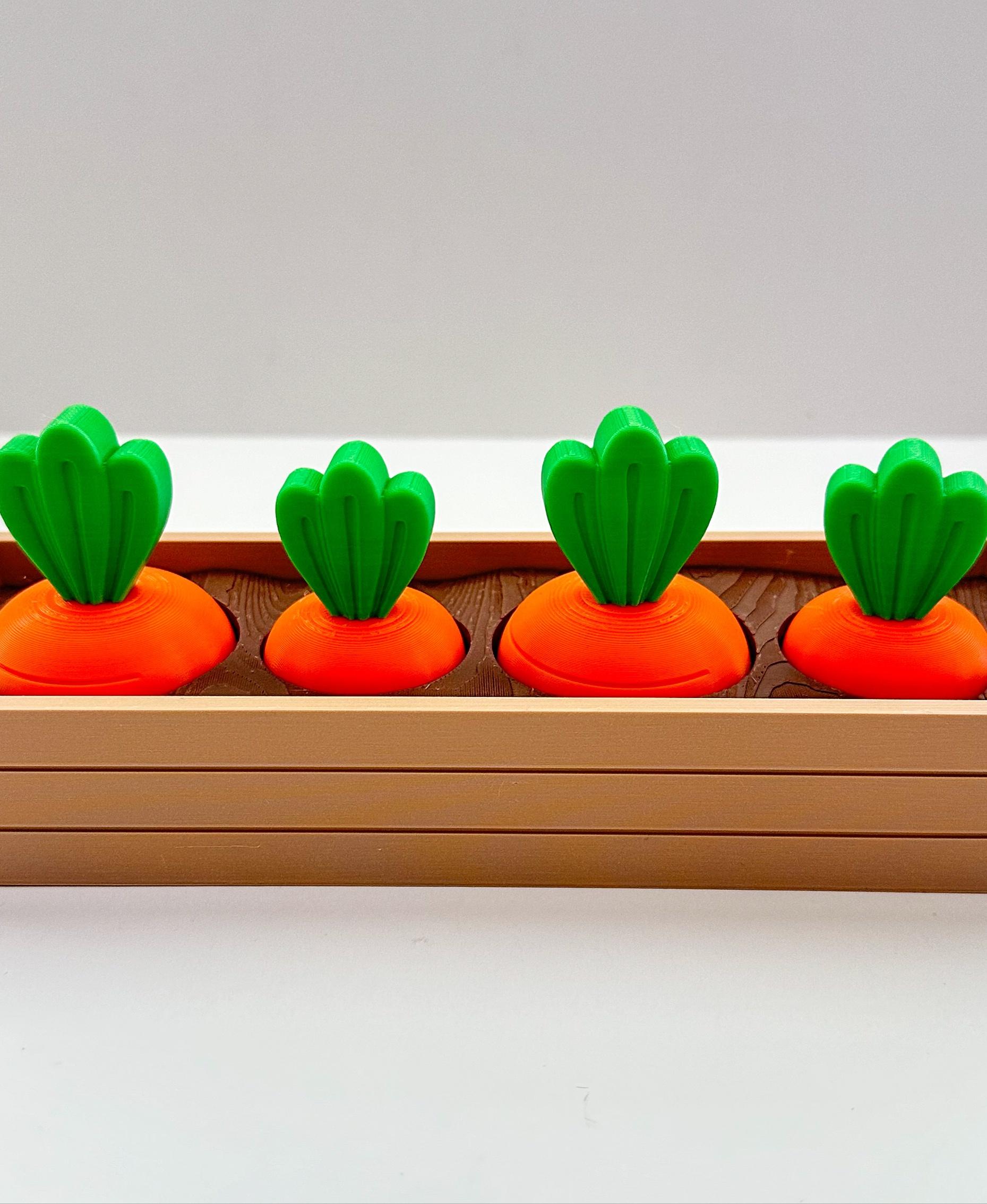 Carrot Garden 3d model