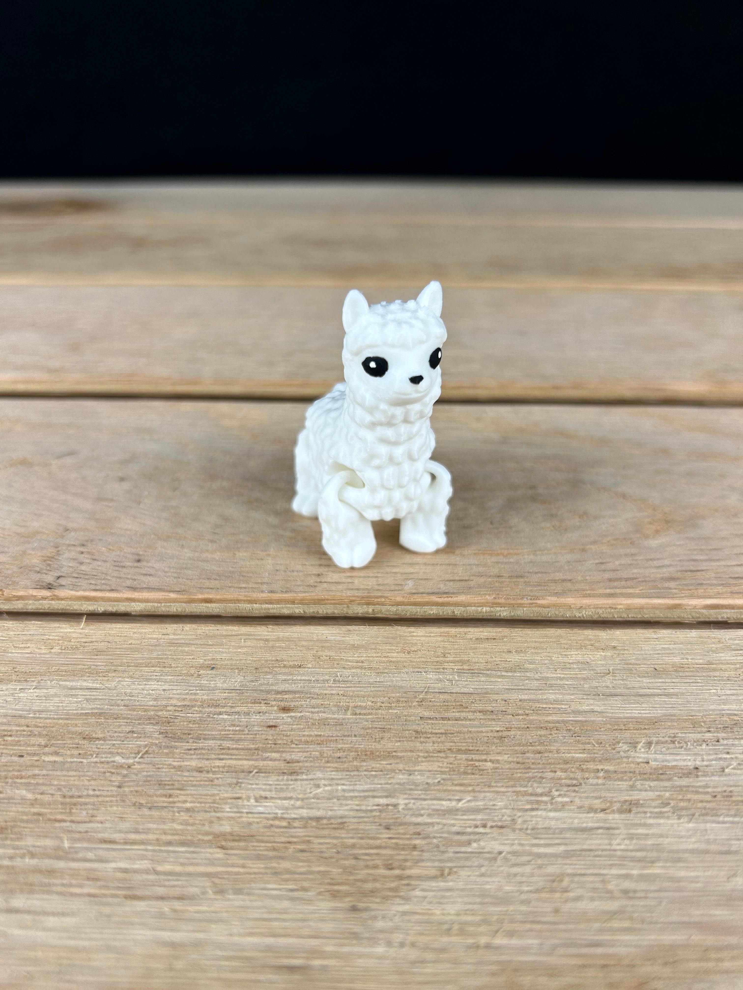 Alpaca Fidget 3d model