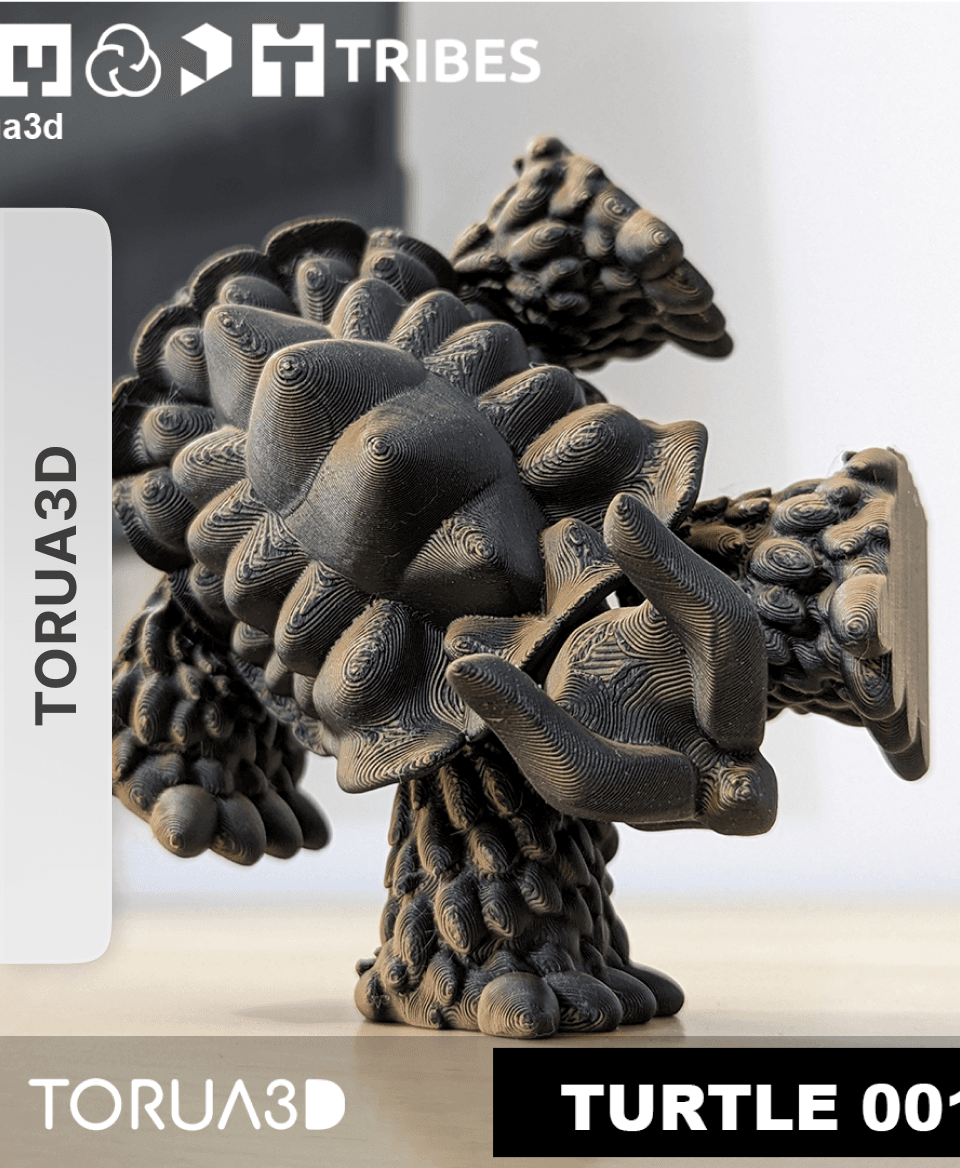  Articulated Turtle 001 by TORUA3D 3d model