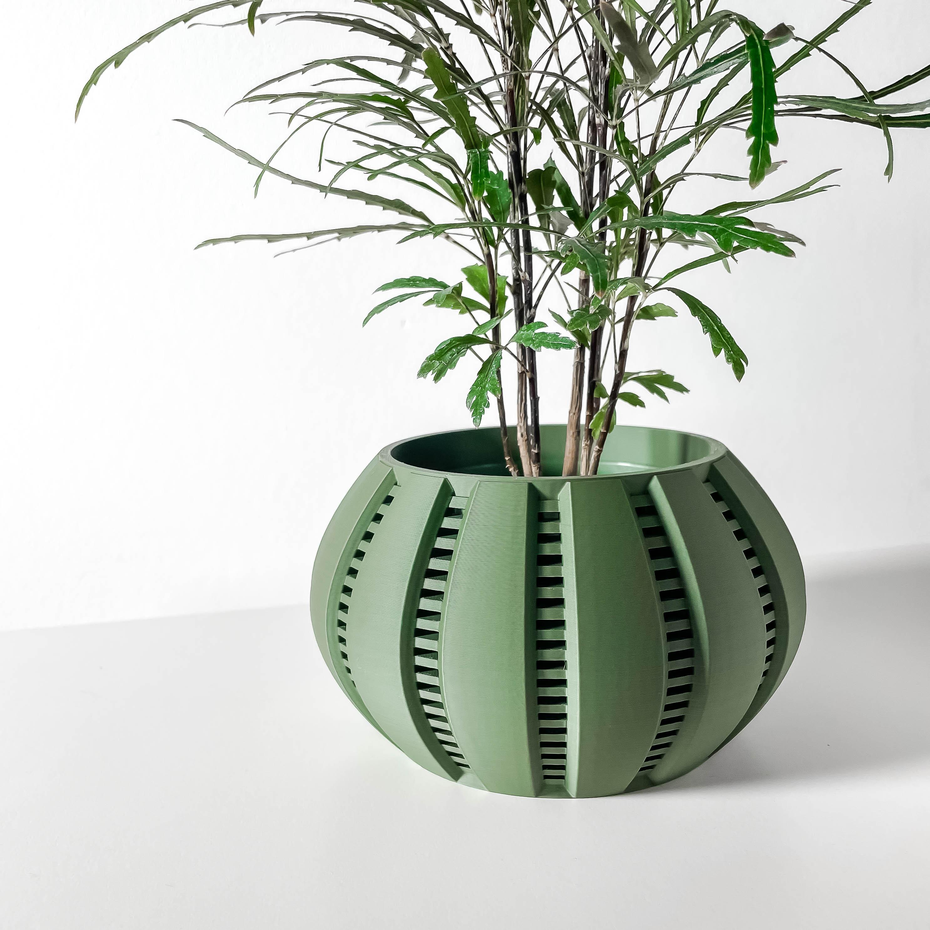 The Balu Planter Pot with Drainage Tray & Stand: Modern and Unique Home Decor for Plants 3d model