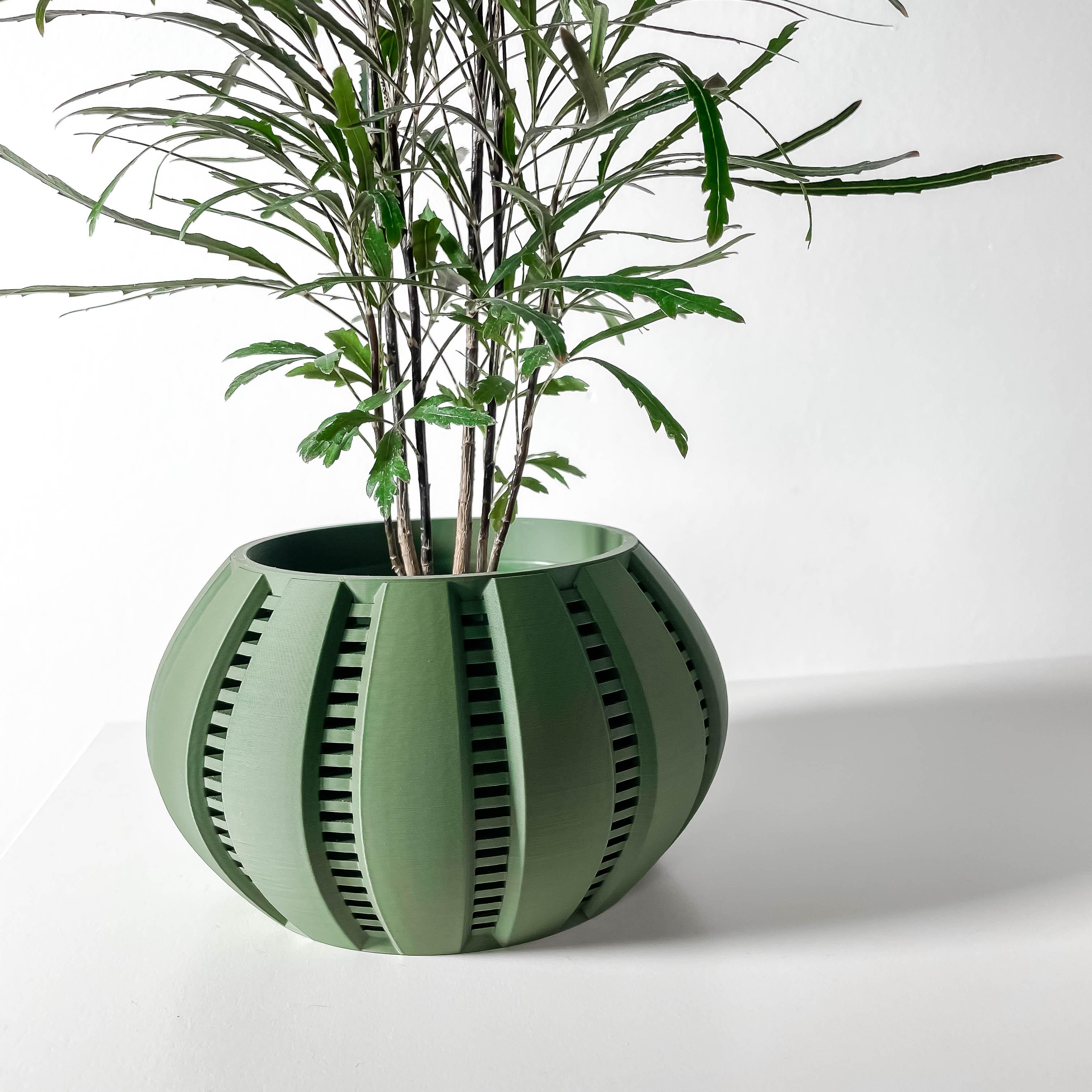 The Balu Planter Pot with Drainage Tray & Stand: Modern and Unique Home Decor for Plants 3d model