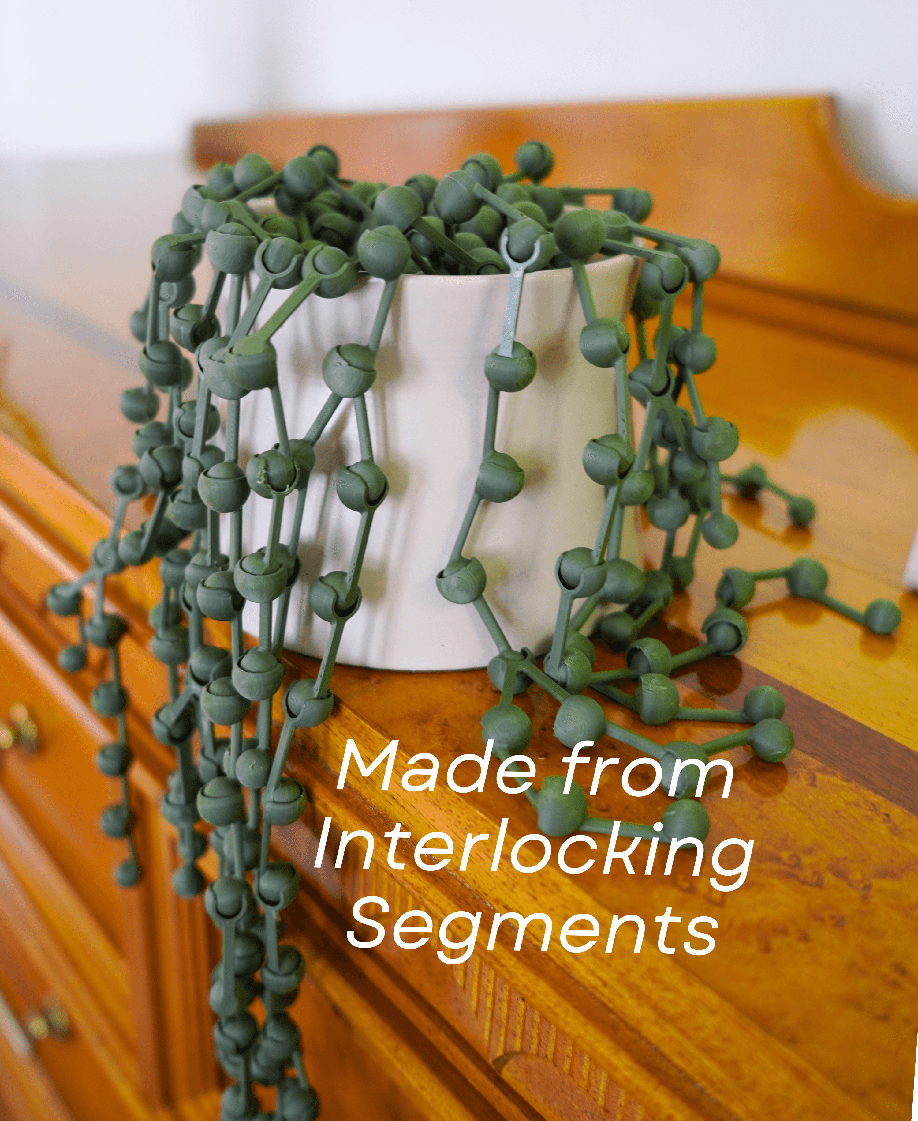 String of Pearls Articulating Plant 3d model