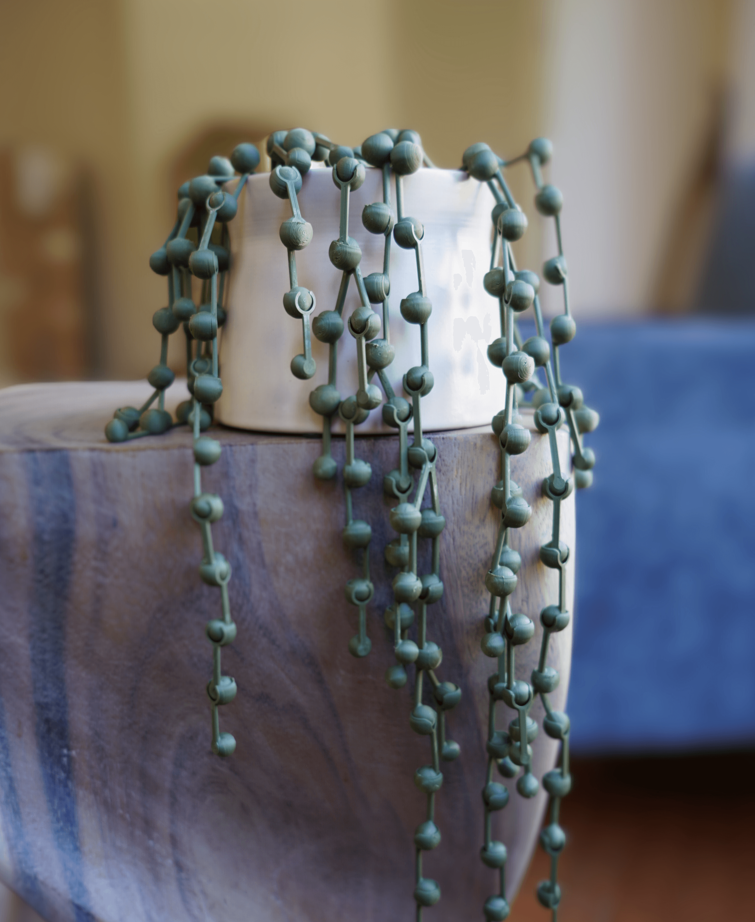 String of Pearls Articulating Plant 3d model