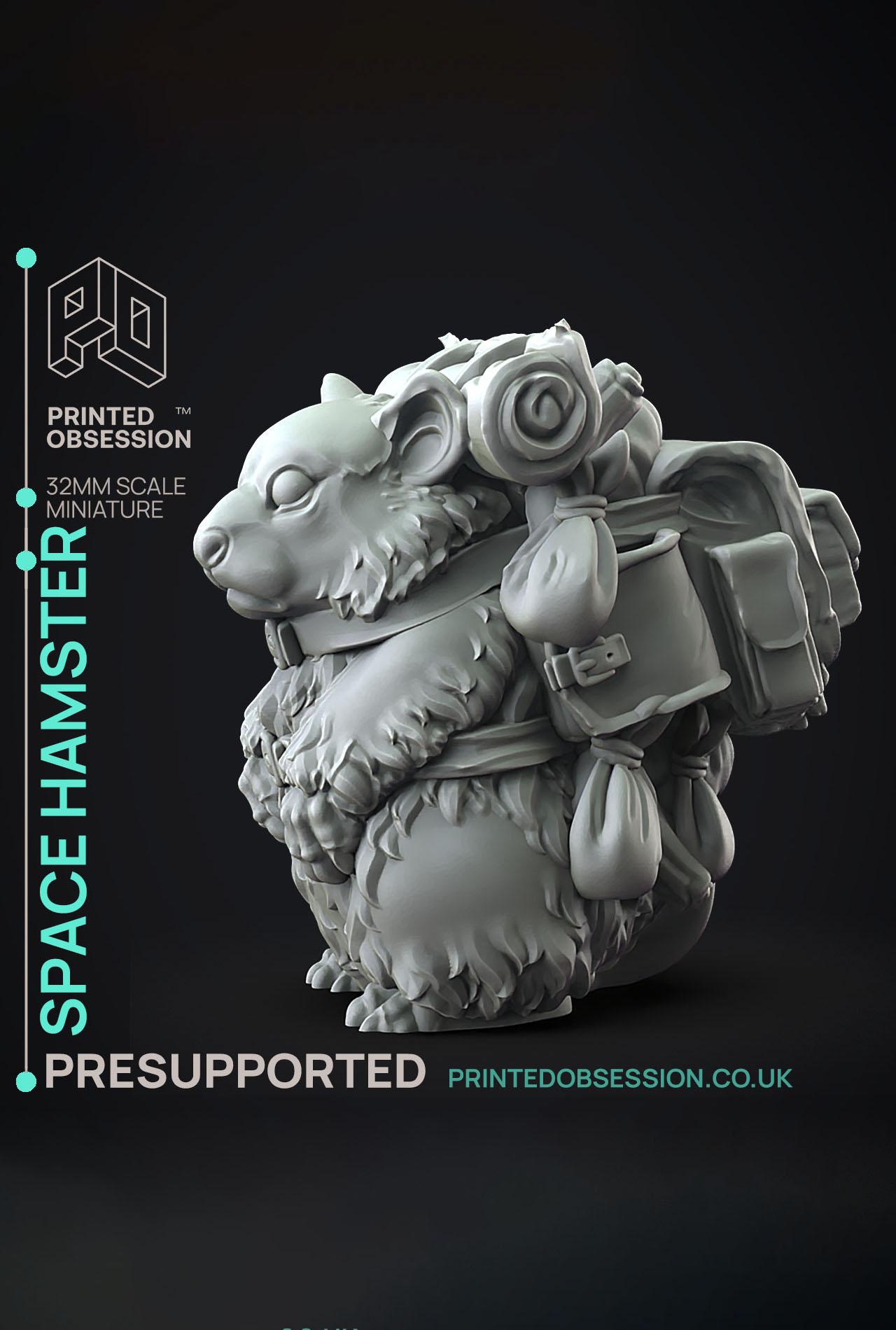 Space Hamster - Weird Shores - PRESUPPORTED - Illustrated and Stats - 32mm scale			 3d model