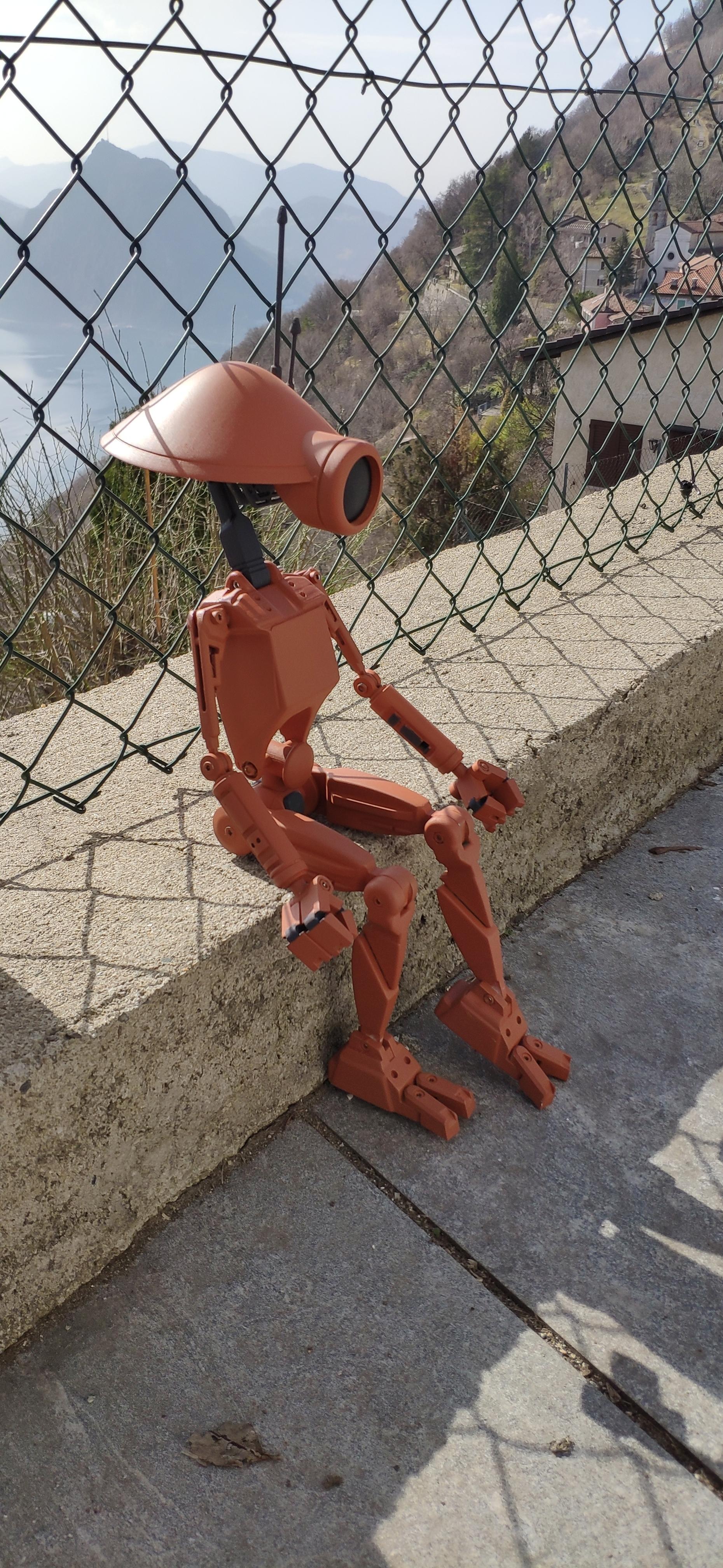 PIT DROID scale 1:2 3d model