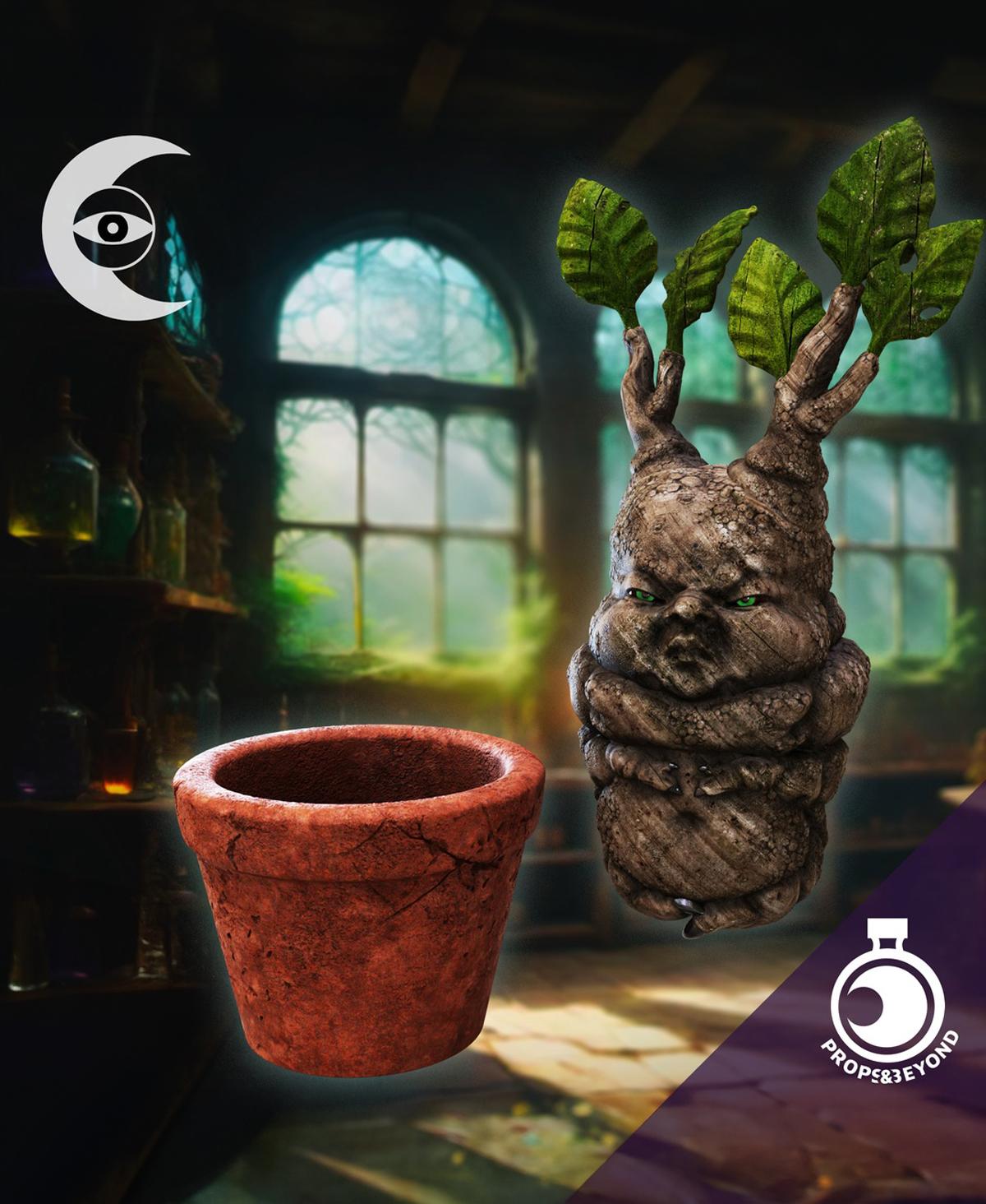 Mandrake 3d model