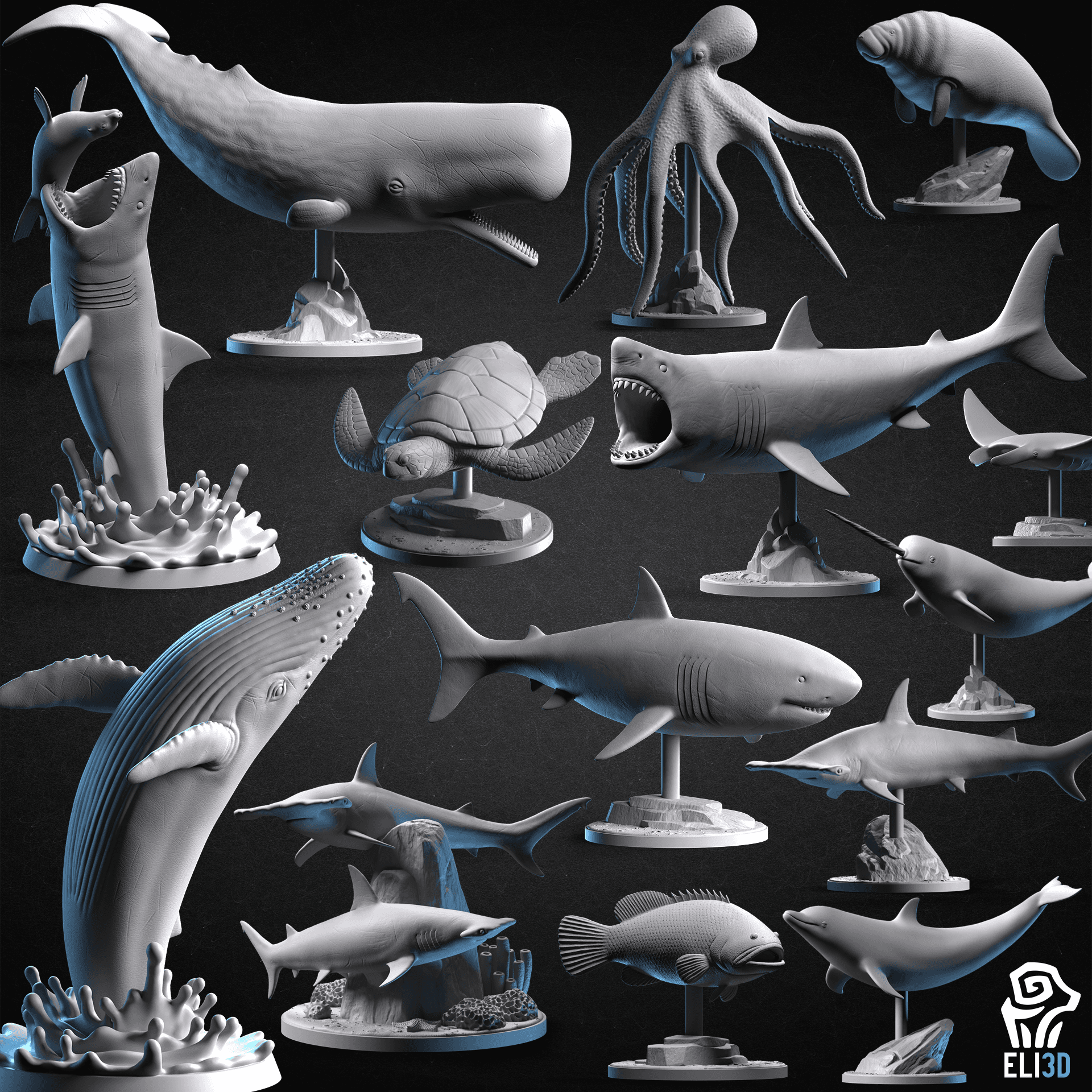 Animals - Ocean Wildlife 3d model