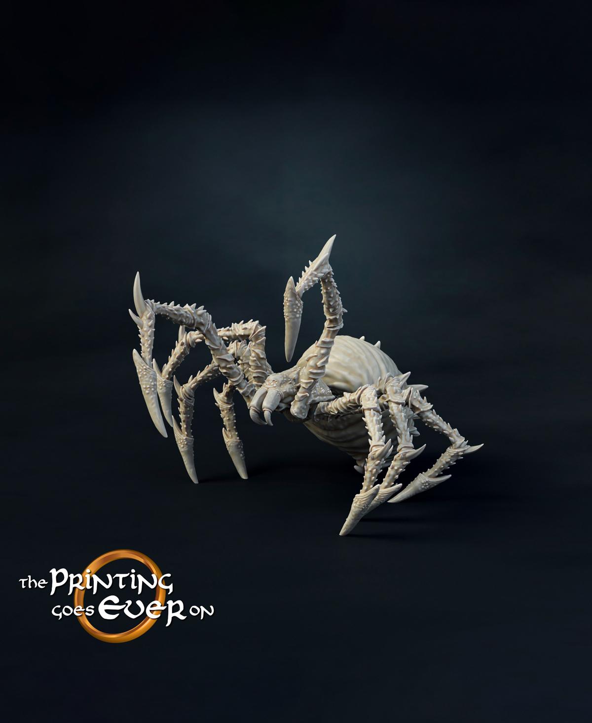 Small Spider B 3d model