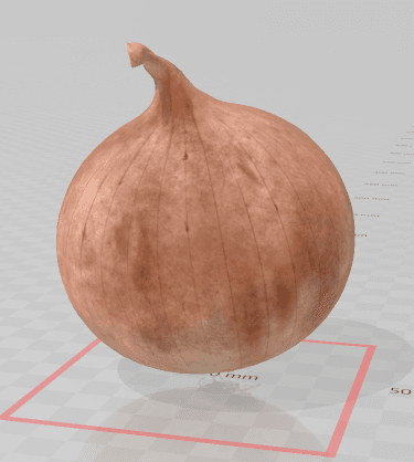Onion 3d model