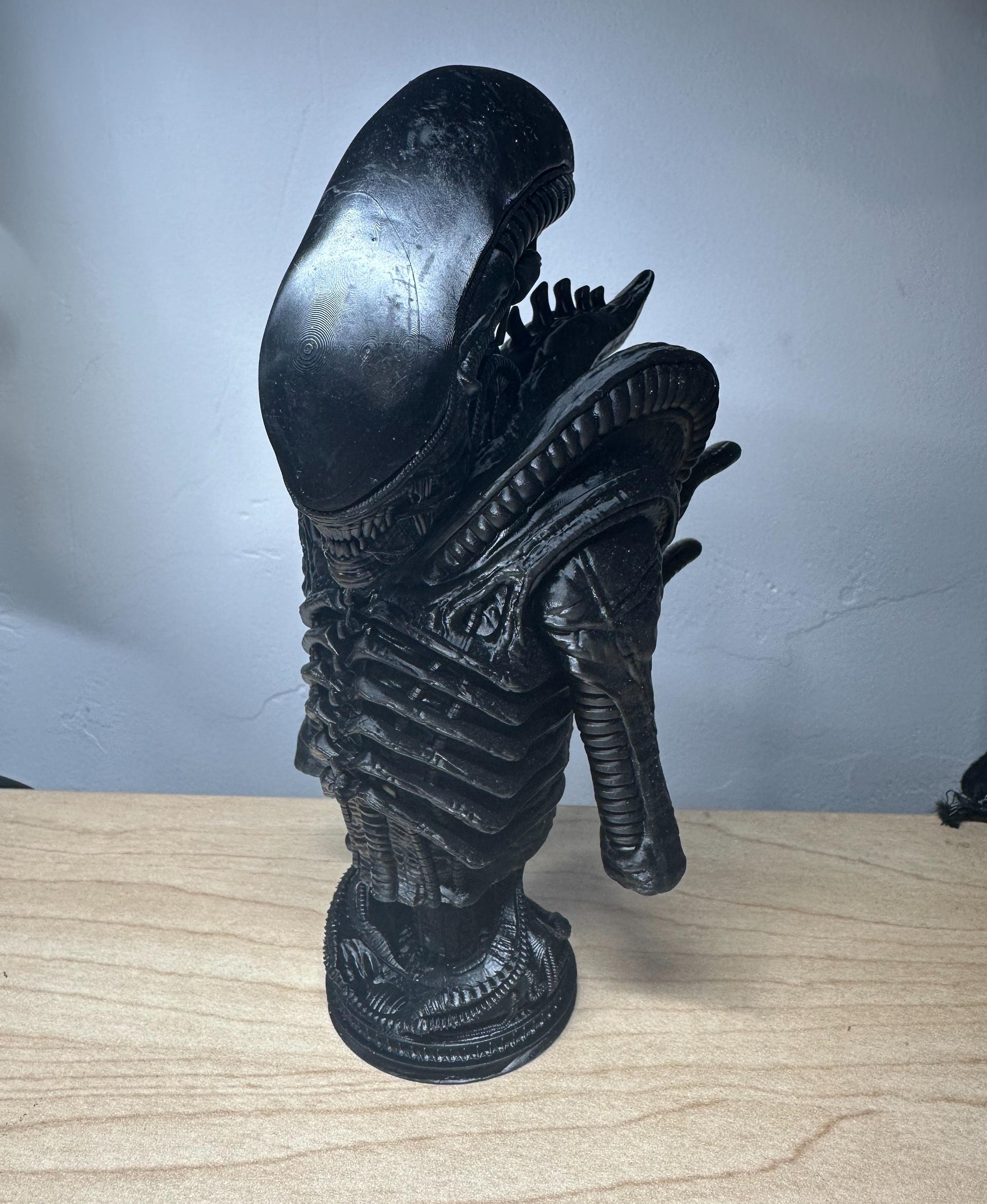 Xenomorph Bust (Pre Supported) - Printer: Anycubic Photon Mono X 6Ks 
Resin: ABS-Like Resin Pro 2 (black) - 3d model