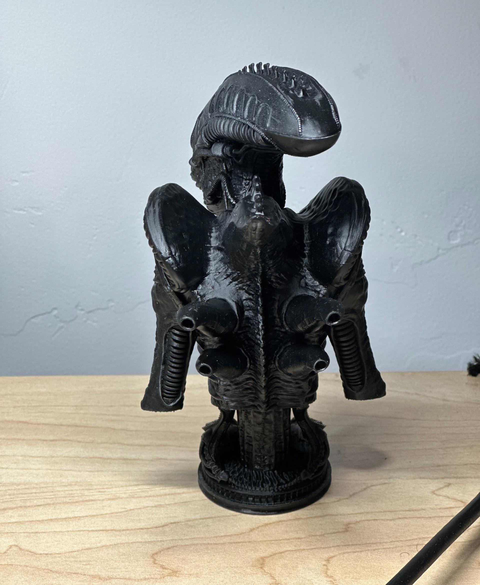 Xenomorph Bust (Pre Supported) - Printer: Anycubic Photon Mono X 6Ks 
Resin: ABS-Like Resin Pro 2 (black) - 3d model