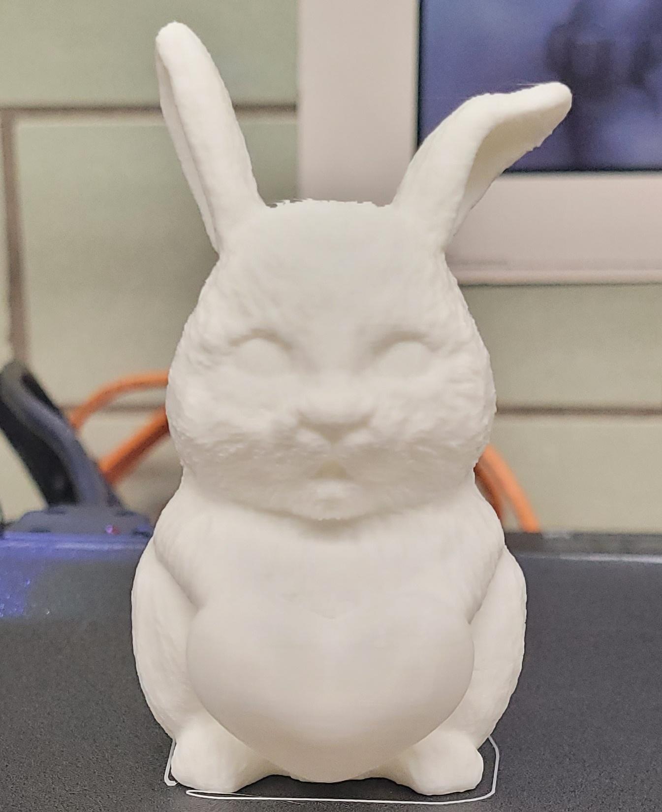 Cute bunny with and without a heart 3d model