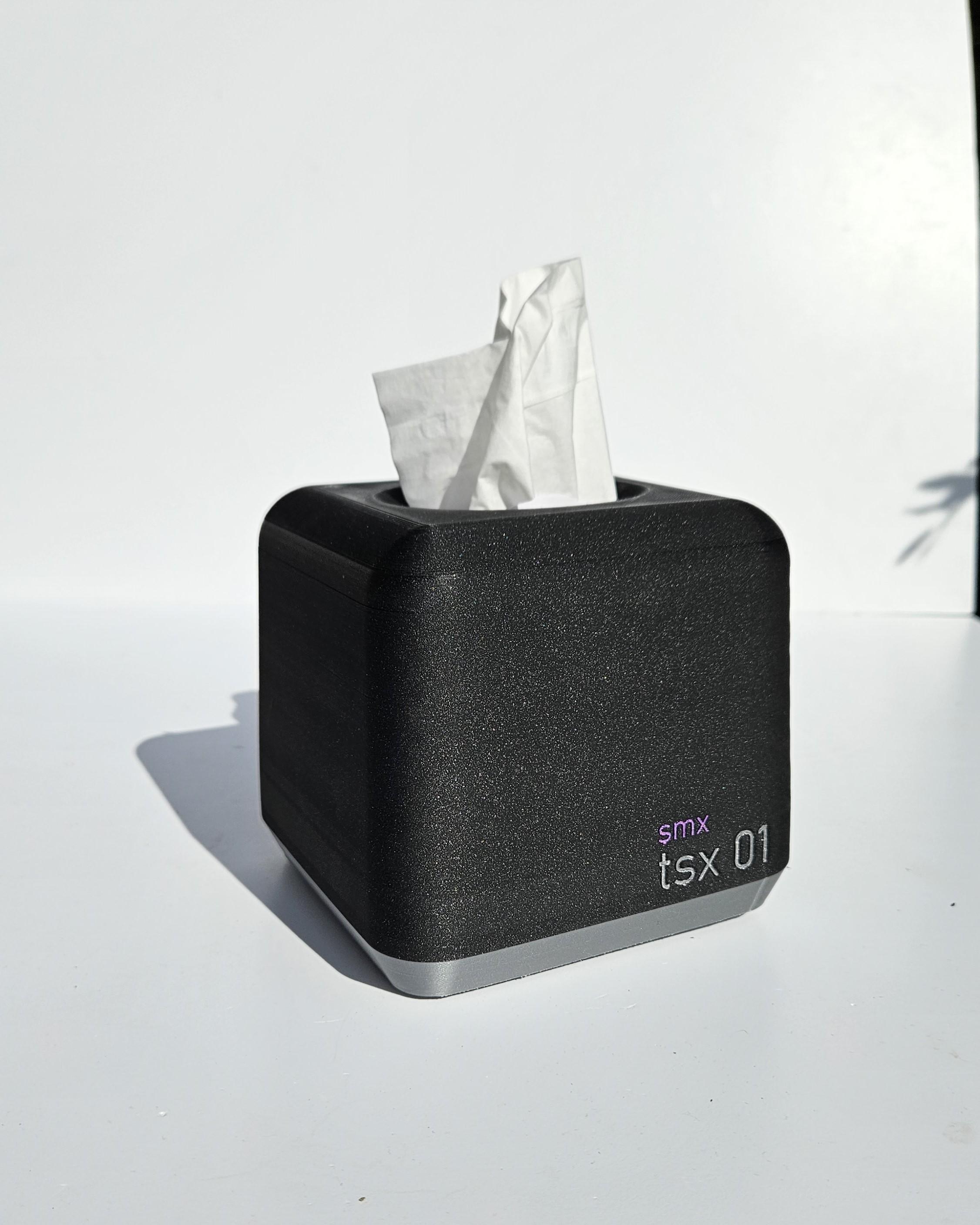 tsx 01 - Tissue Box Cover 3d model