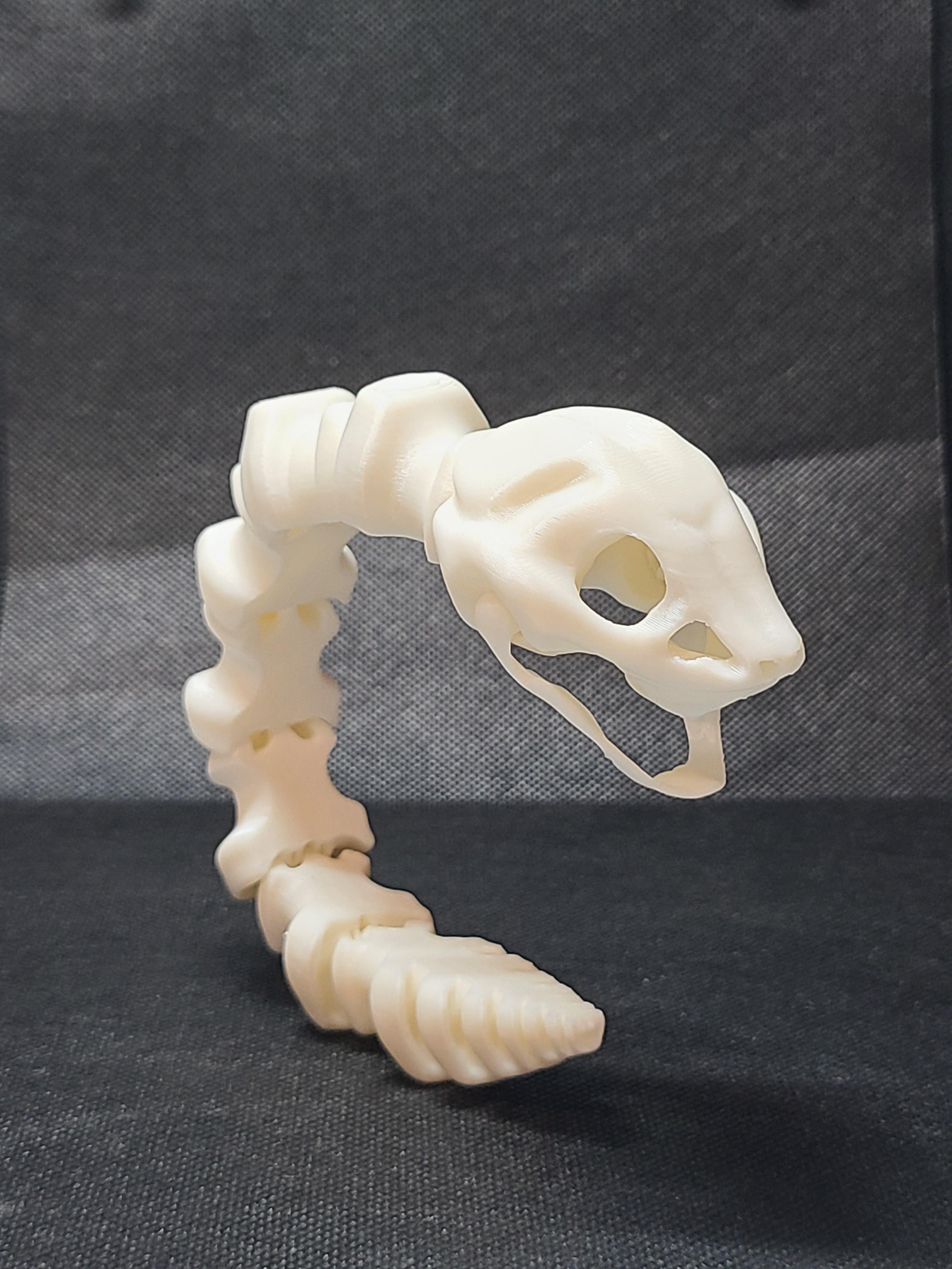 Sleek-Eyed Bone Snake (Loose) - Articulated Snap-Flex Fidget 3d model