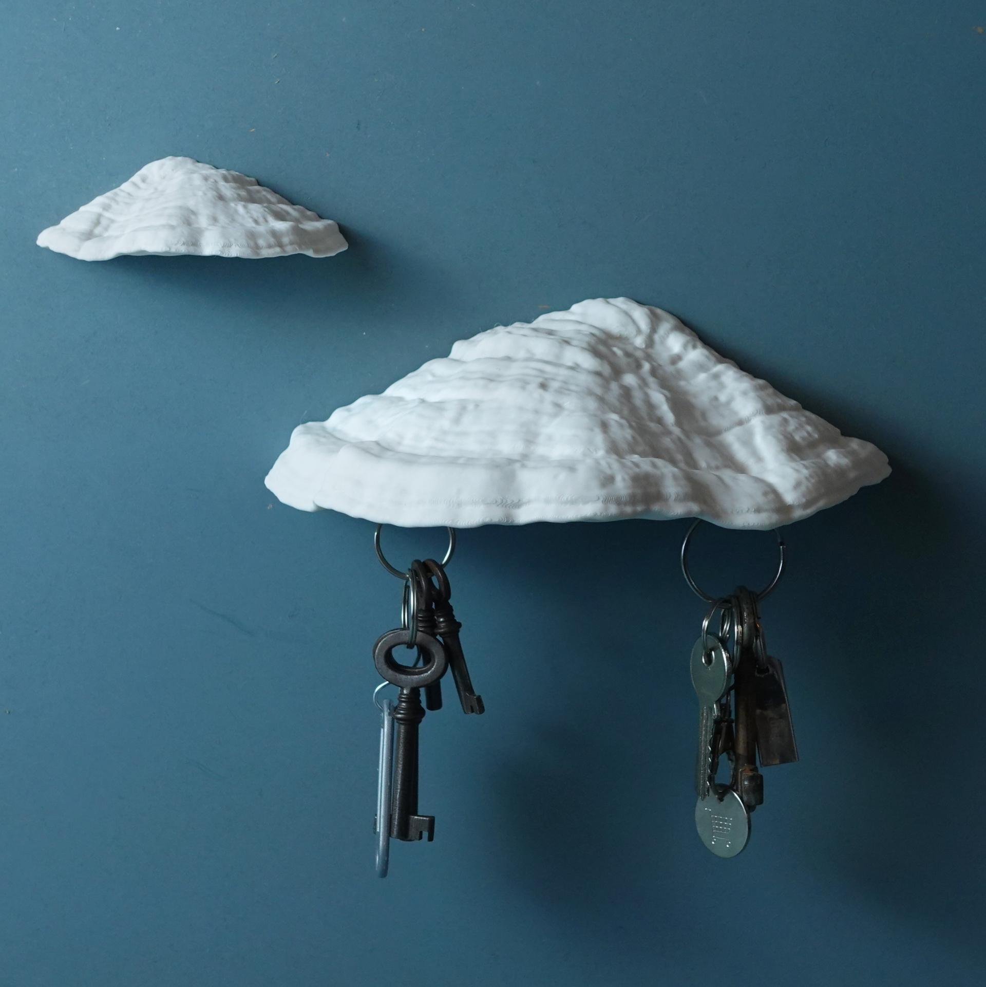 Mushroom magnetic key holder “Ganoderma Carnosum” 3d model