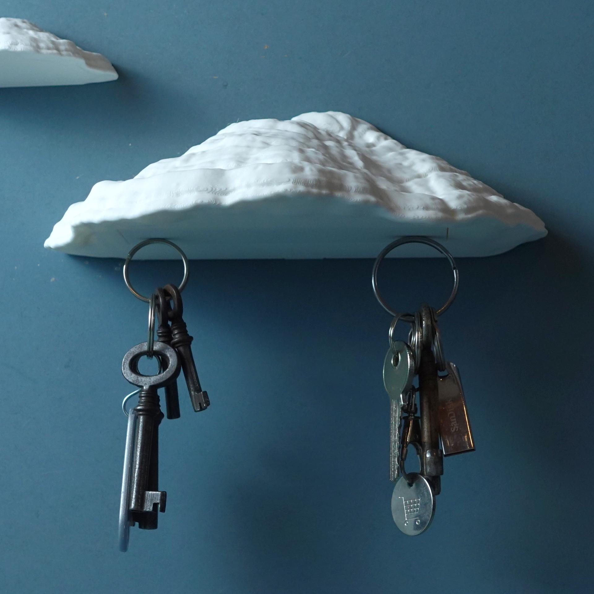 Mushroom magnetic key holder “Ganoderma Carnosum” 3d model