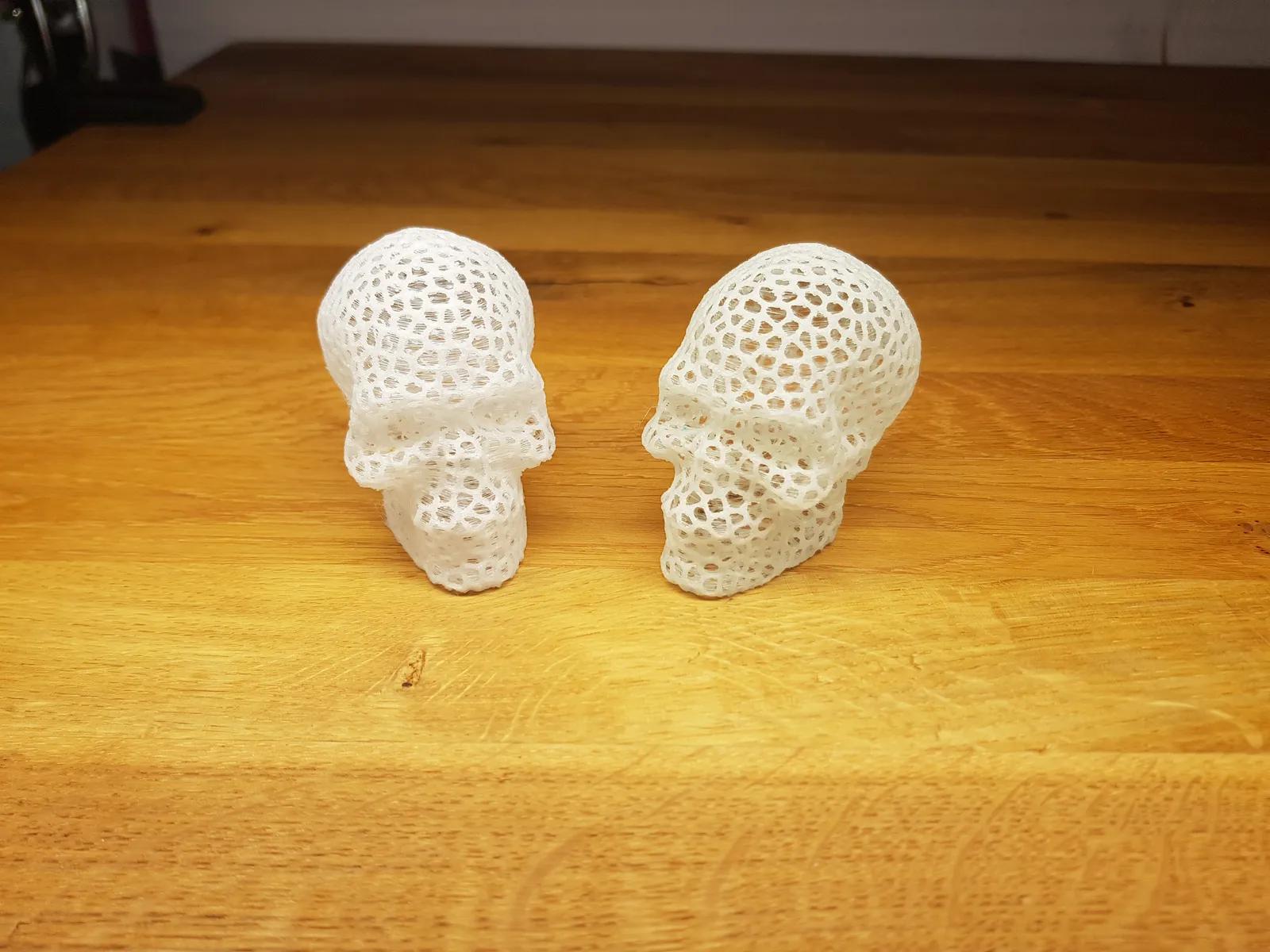 Voronoi Skull  3d model