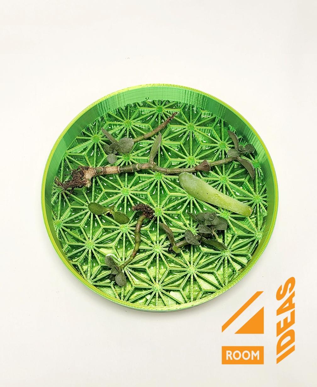 Succulent Propagation Tray - Asanoha 3d model