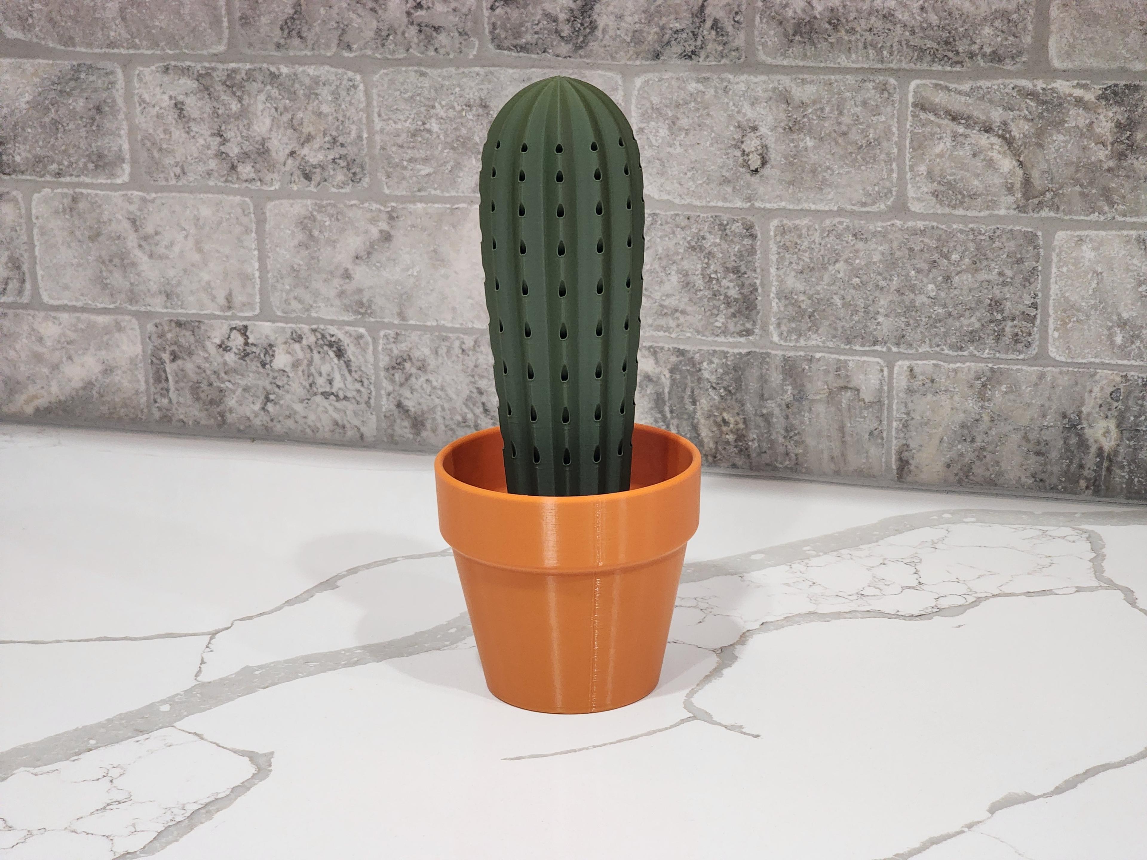 Cactus Toothpick holder 3d model