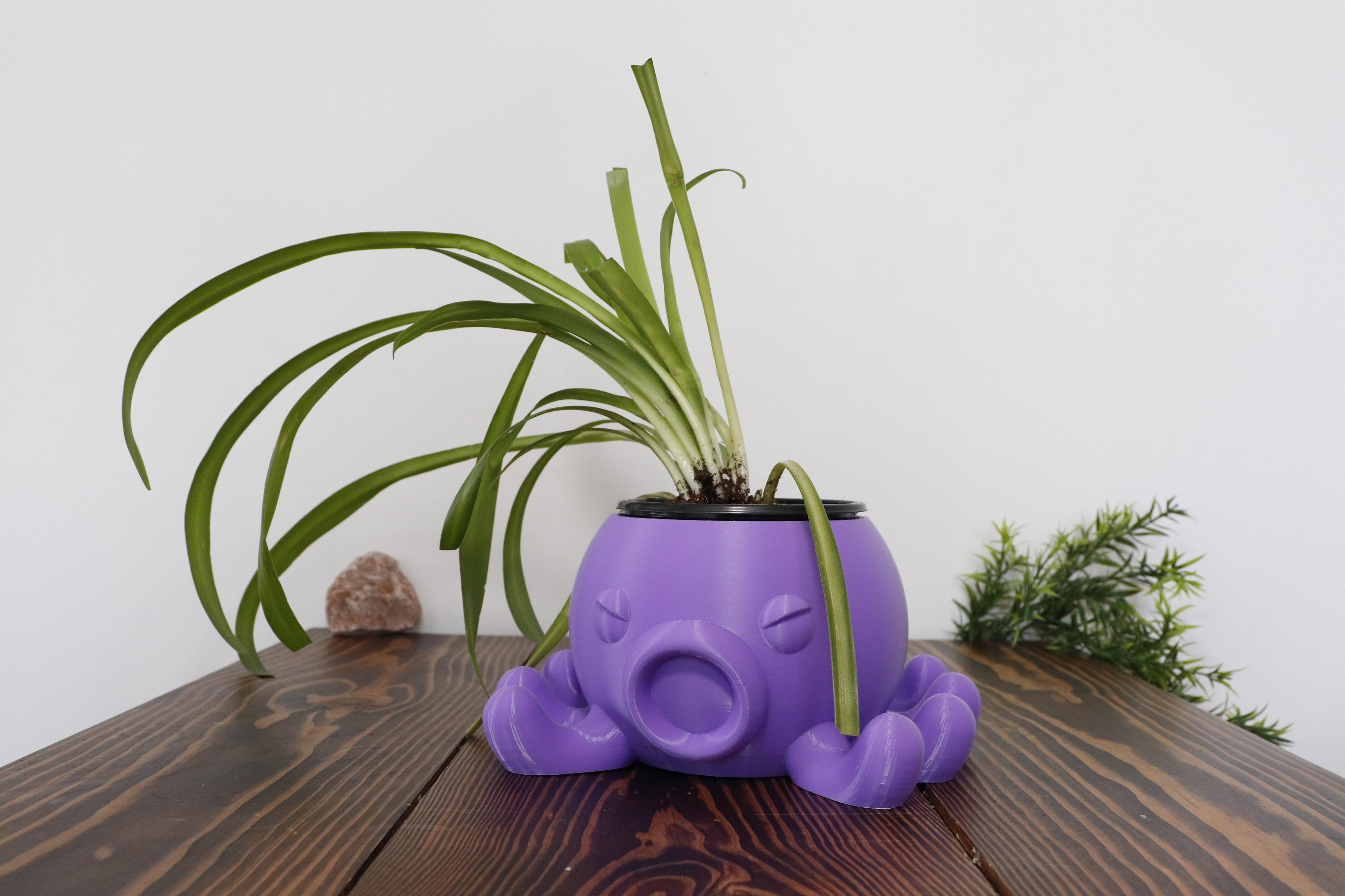 Octo Planter 3d model