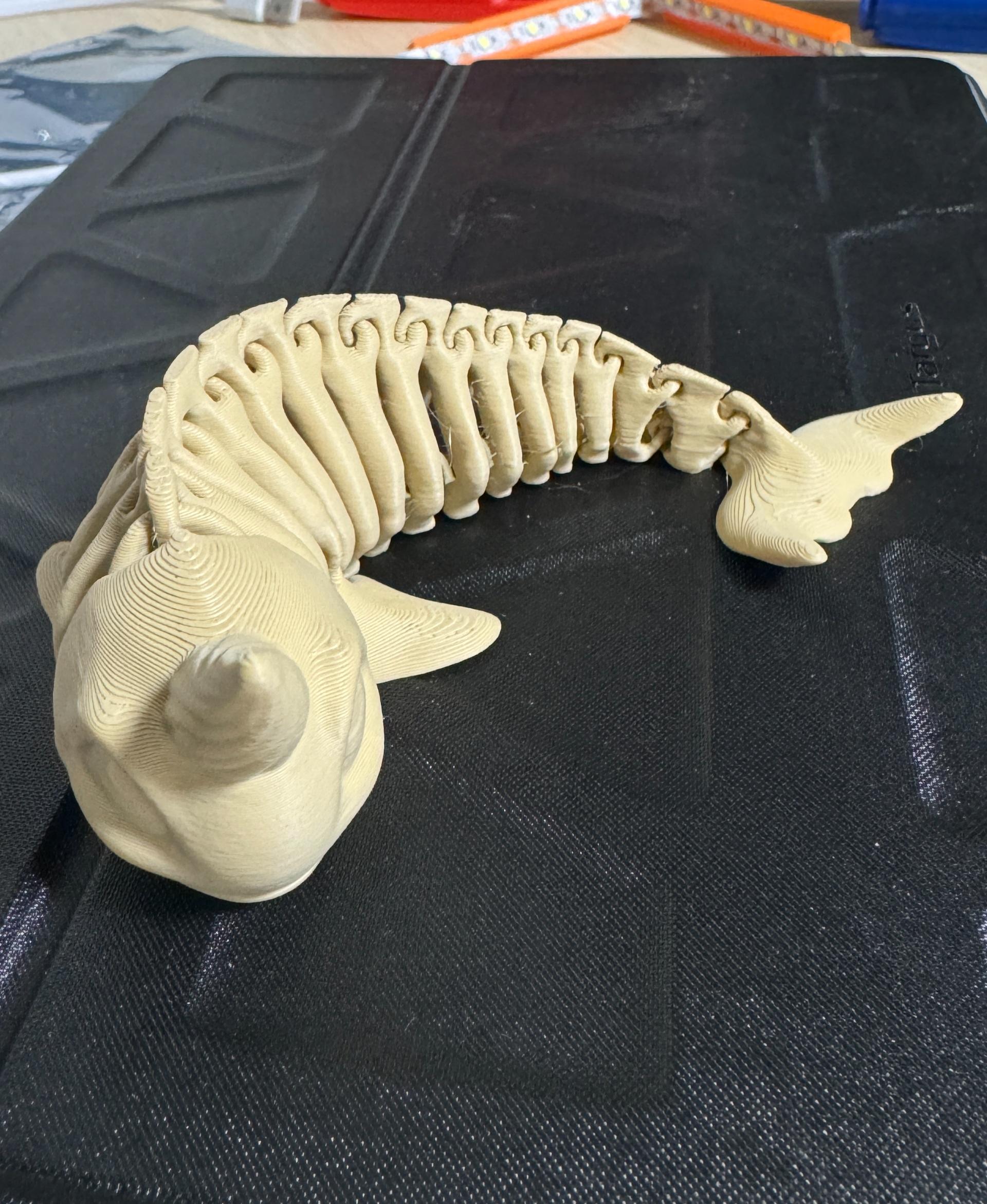 Narwhal  Bones Flexi - Bambu P1S with Bambu Matte Desert Tan. A 50% print, and the PLA looks almost bone-like. - 3d model