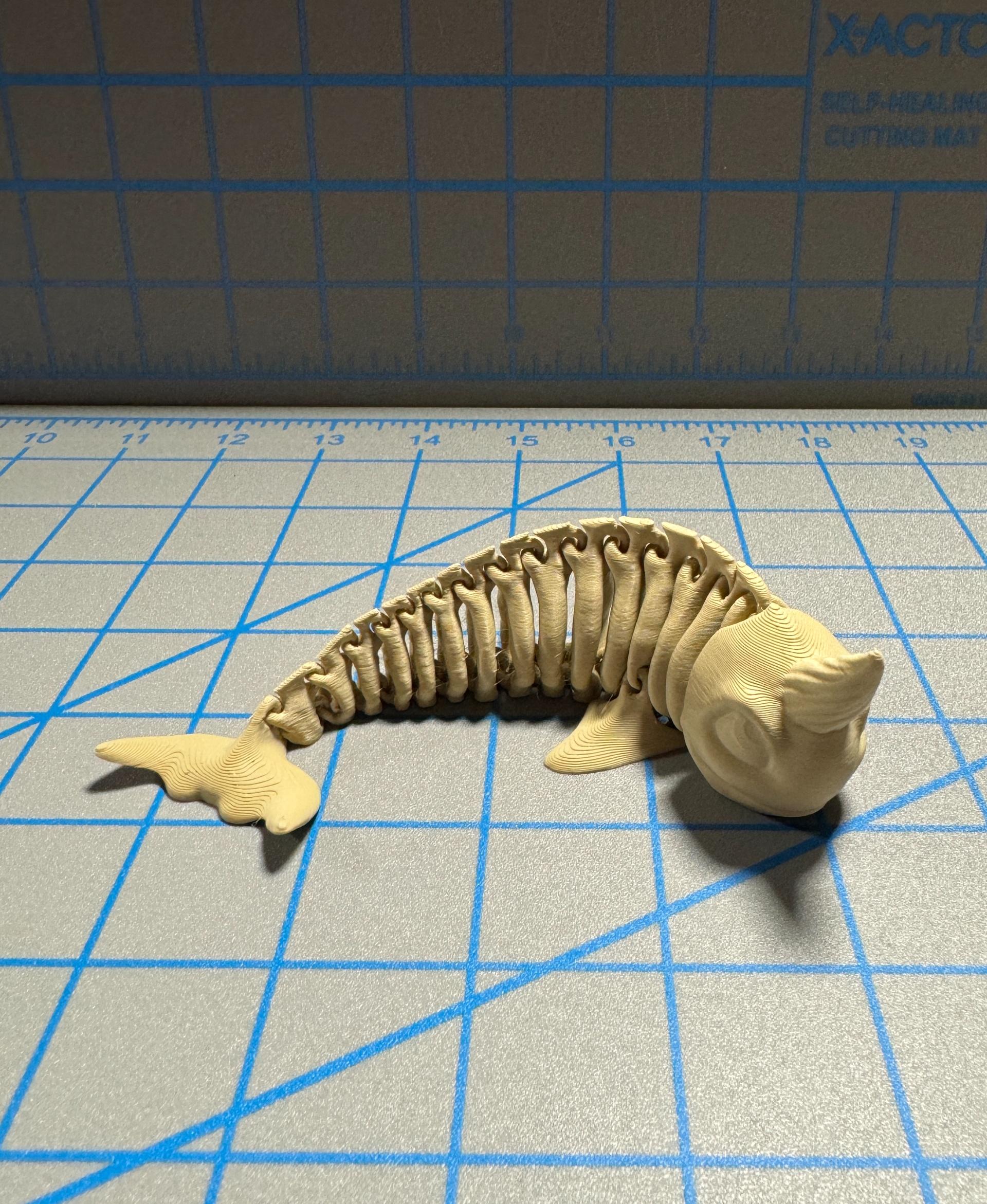 Narwhal  Bones Flexi - Bambu P1S with Bambu Matte Desert Tan. A 50% print, and the PLA looks almost bone-like. - 3d model