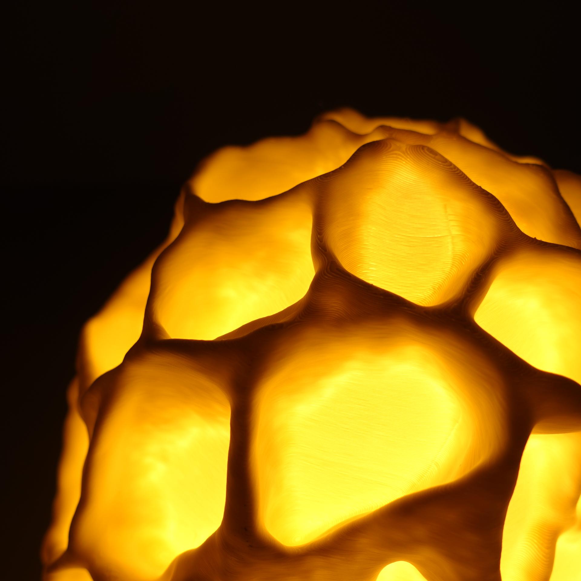 Mushroom lamp “Morchella Esculenta” 3d model