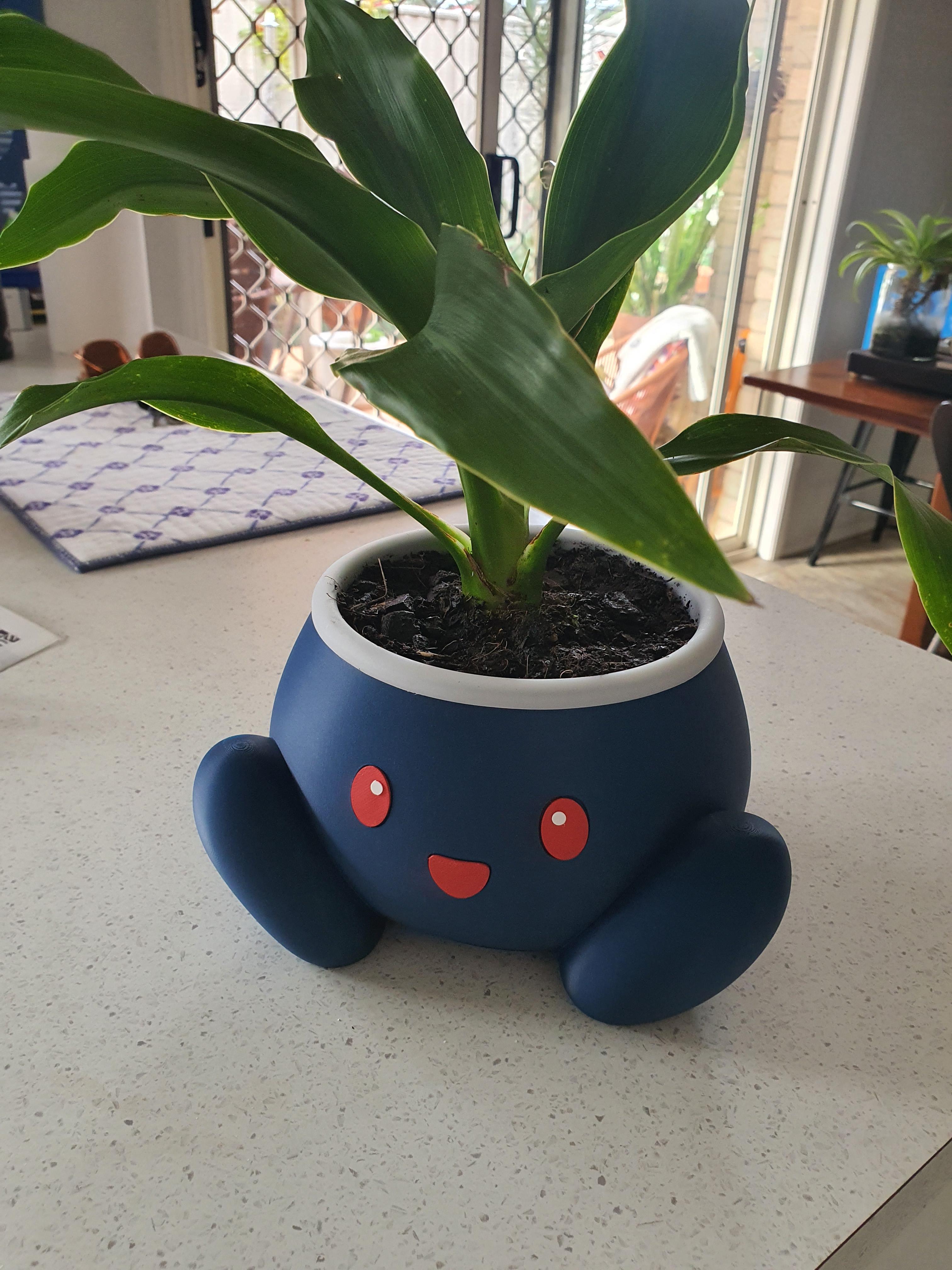 Oddish Pot (No Supports) - Pokémon Planter *by RNDM3D* 3d model