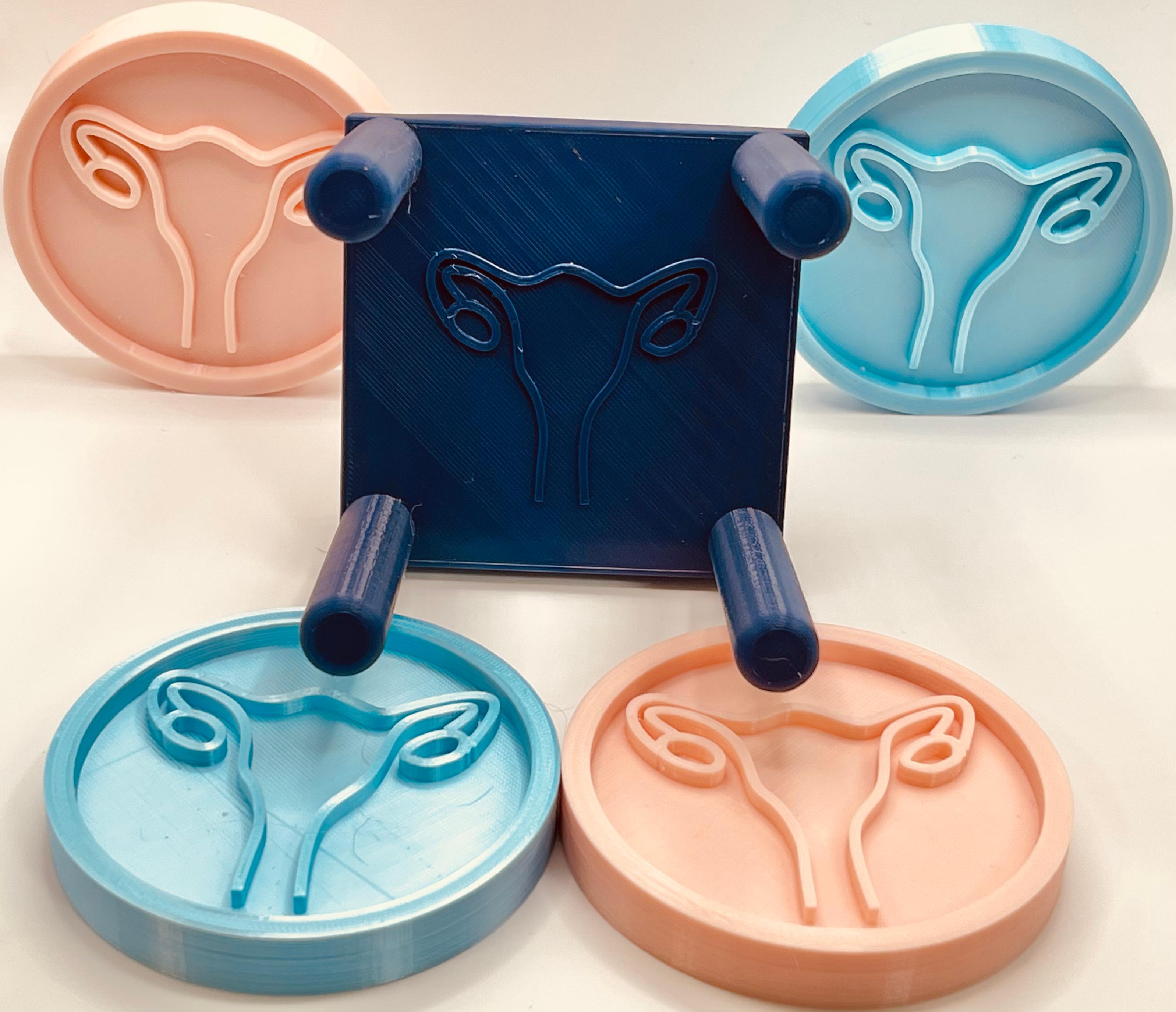 Uterus Coaster and Holder 3d model