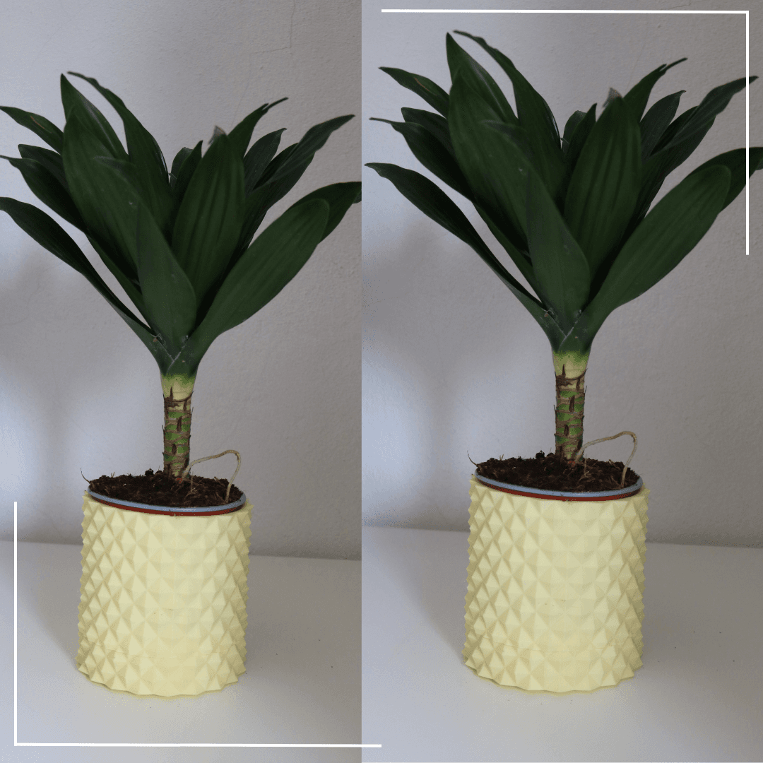 Knurled Planter / Vase 3d model