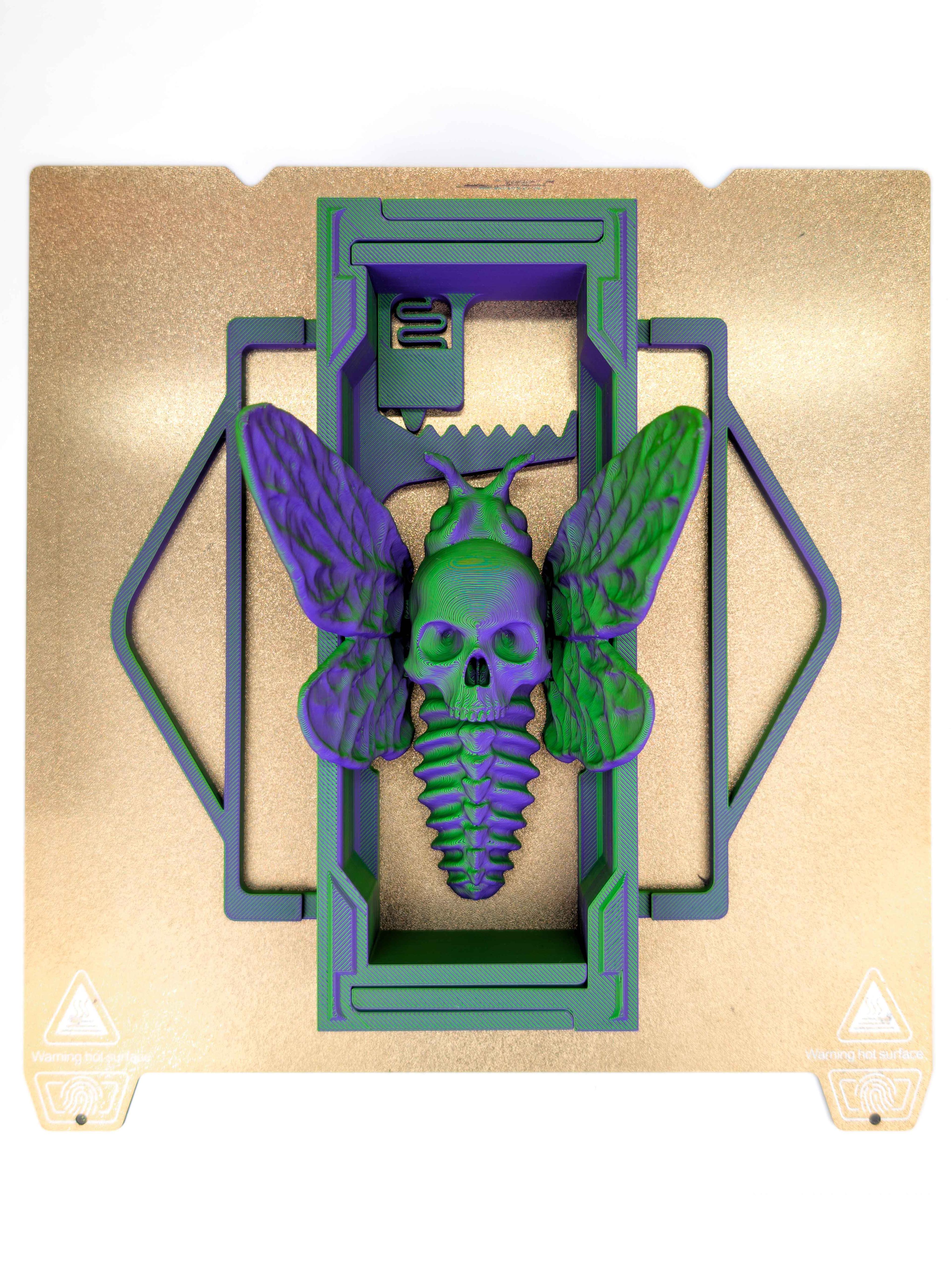 Skull Moth: Halloween Adjustable Book Nook  3d model