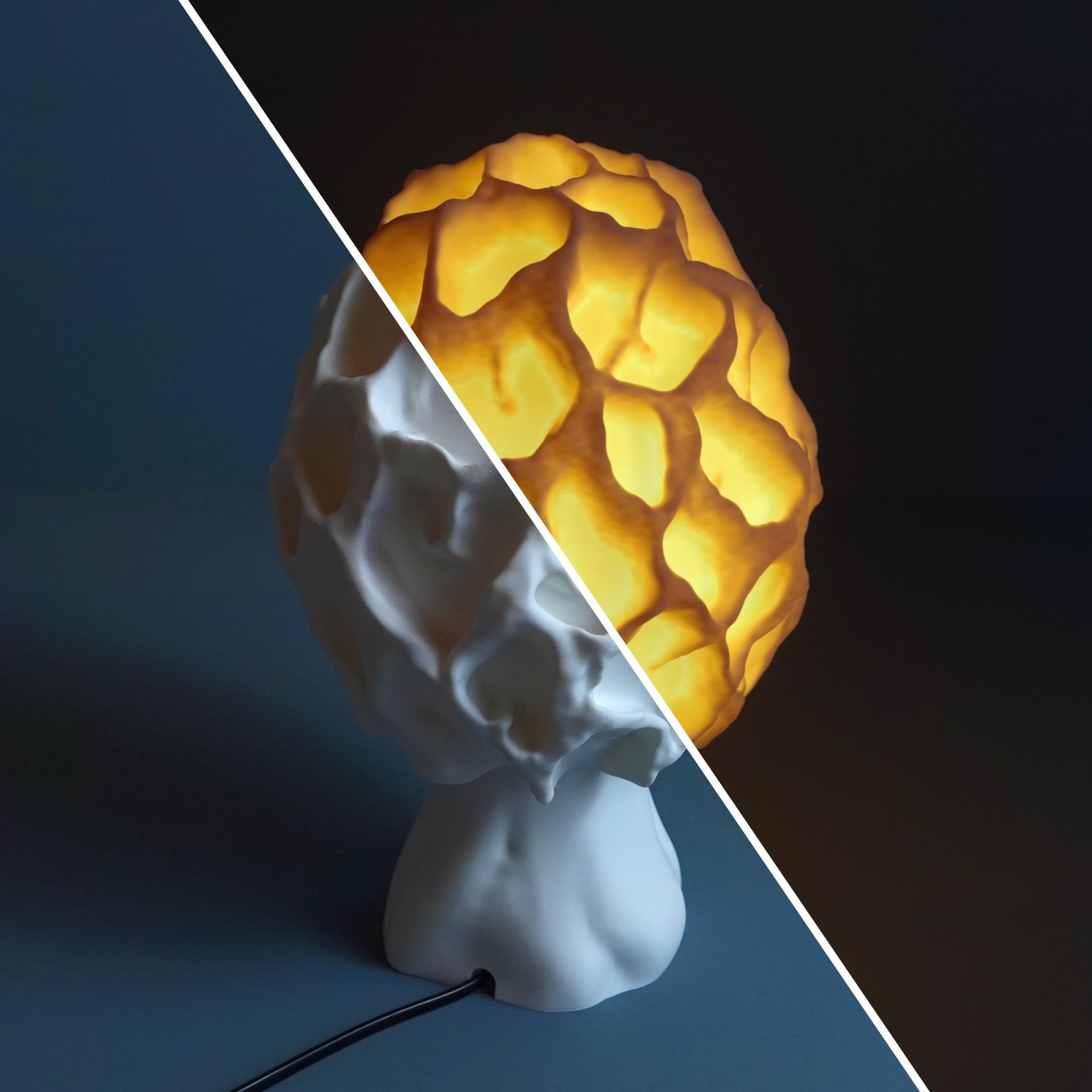 Table lamp “Esculenta Fungus” 3d model