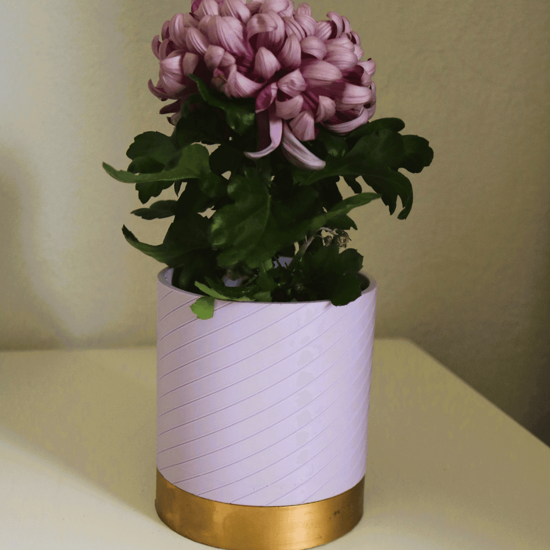 Round Coil Planter / Vase 3d model