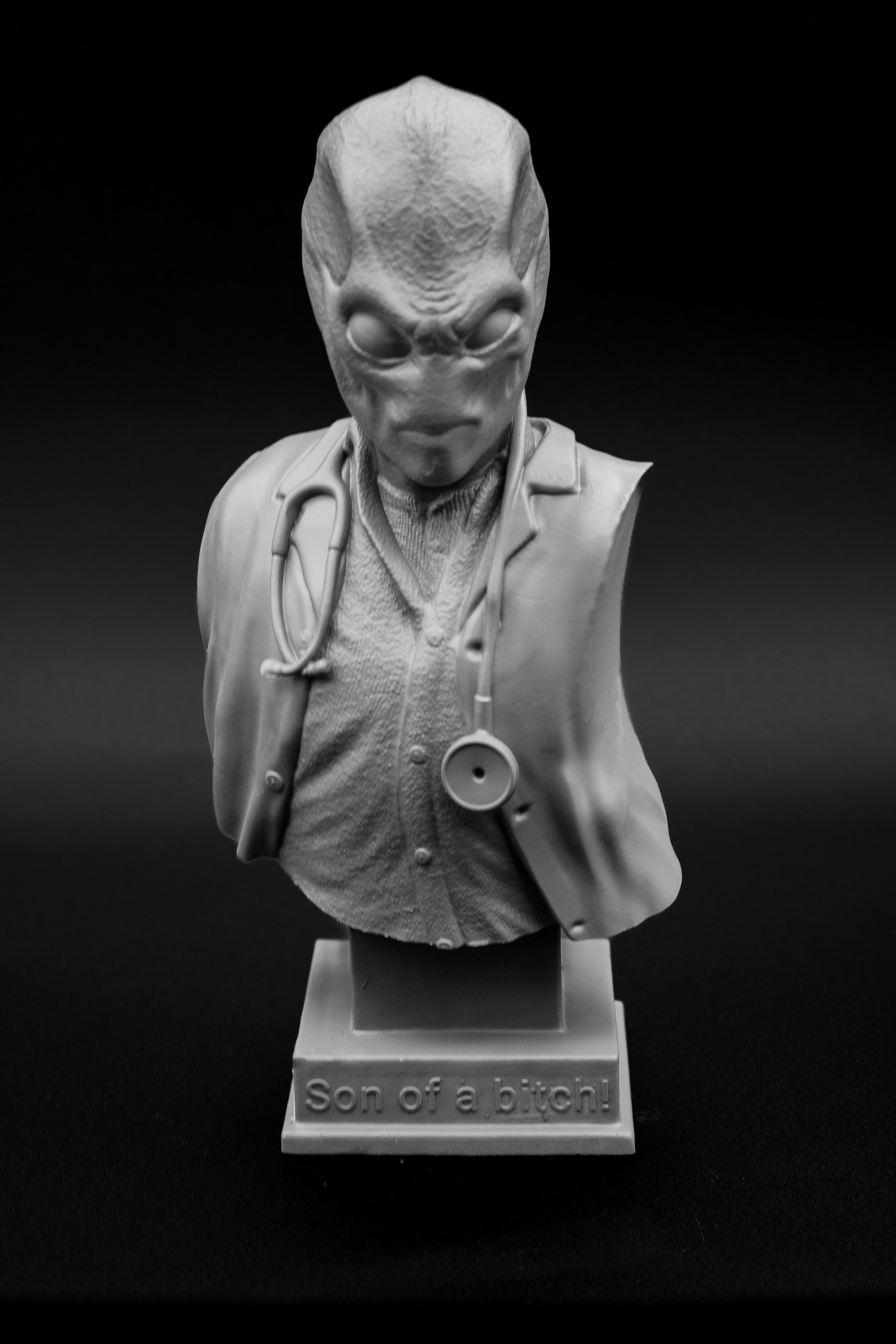 Resident Alien Bust.stl 3d model