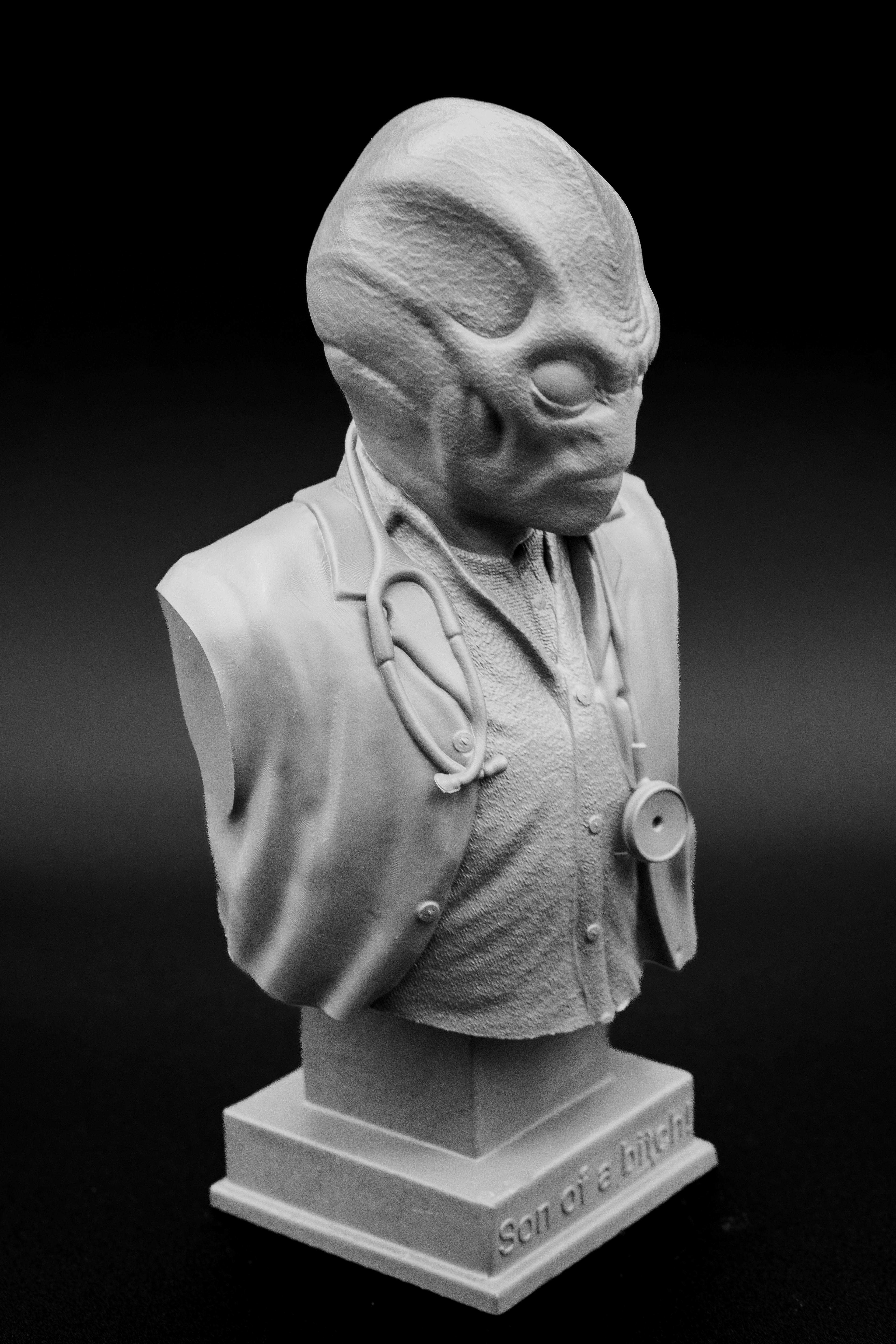 Resident Alien Bust.stl 3d model