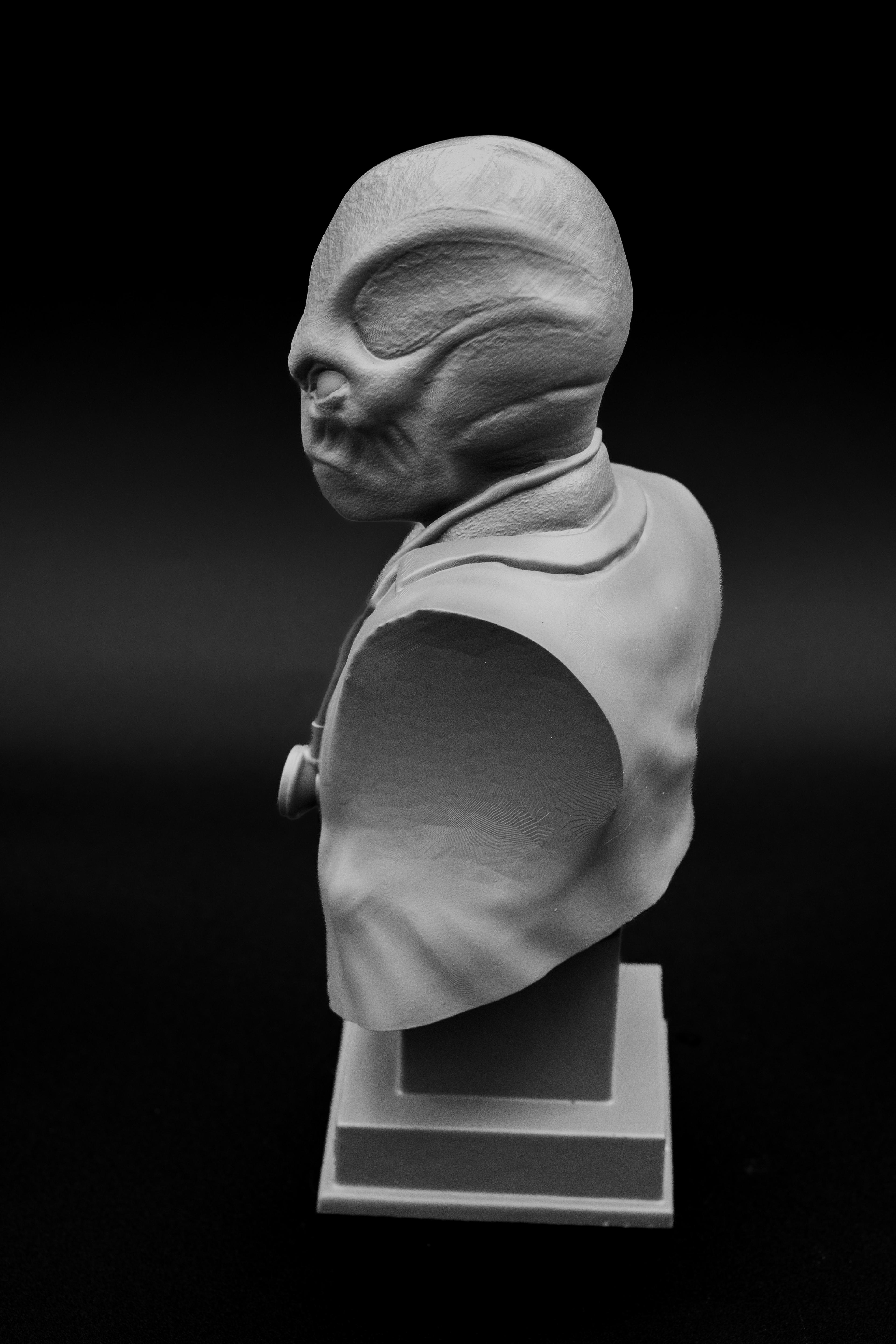 Resident Alien Bust.stl 3d model