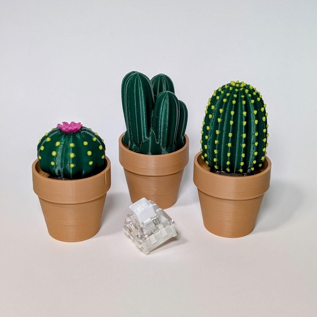 Clicky Cacti - Fidget Toy with Mechanical Switches - Pocket Plants - Simple easy and cute! I love clicky fidgets and am so excited to have these little guys for my desk! - 3d model