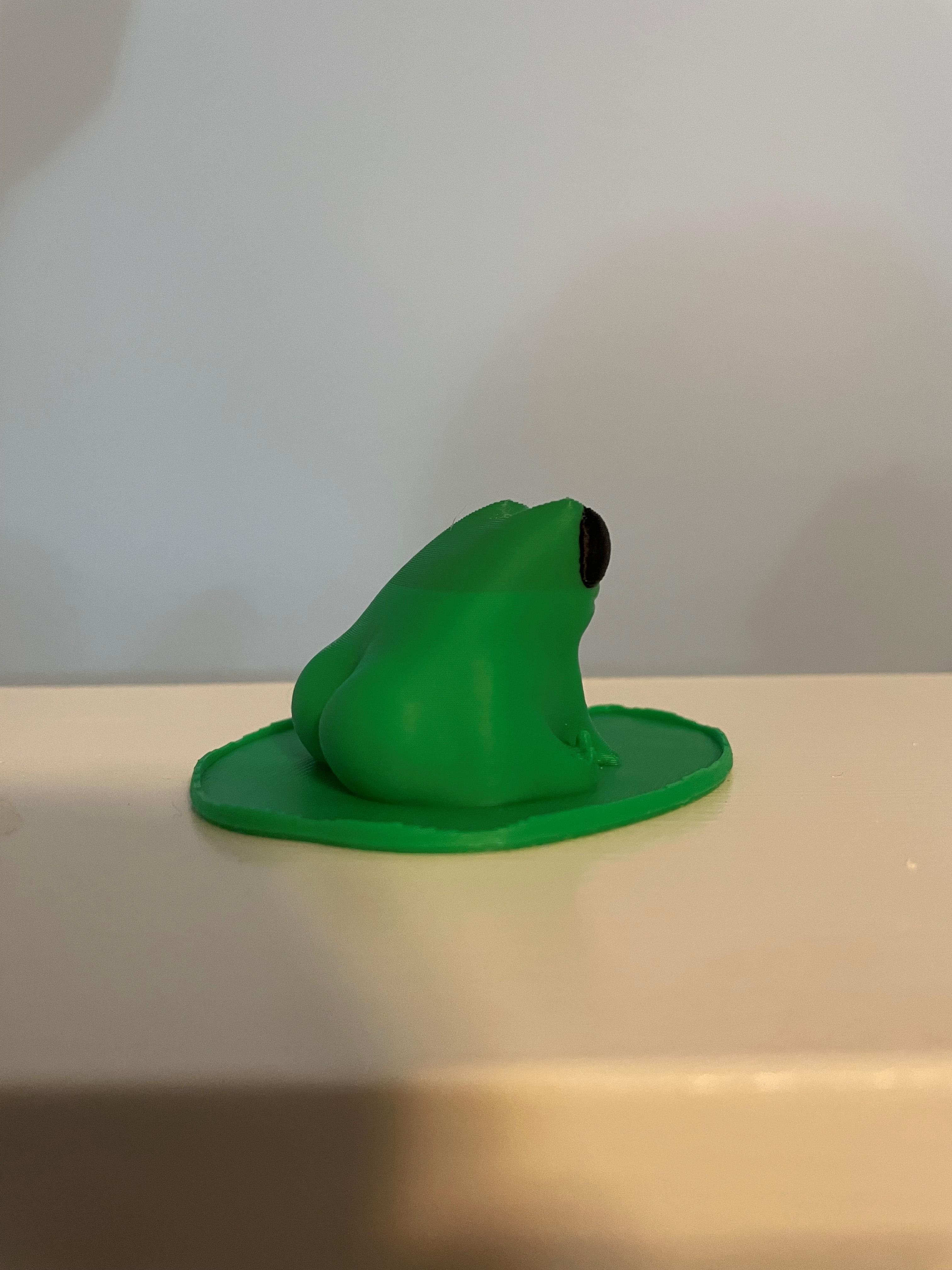 Fred the Frog butt thicc and on a lillypad 3d model