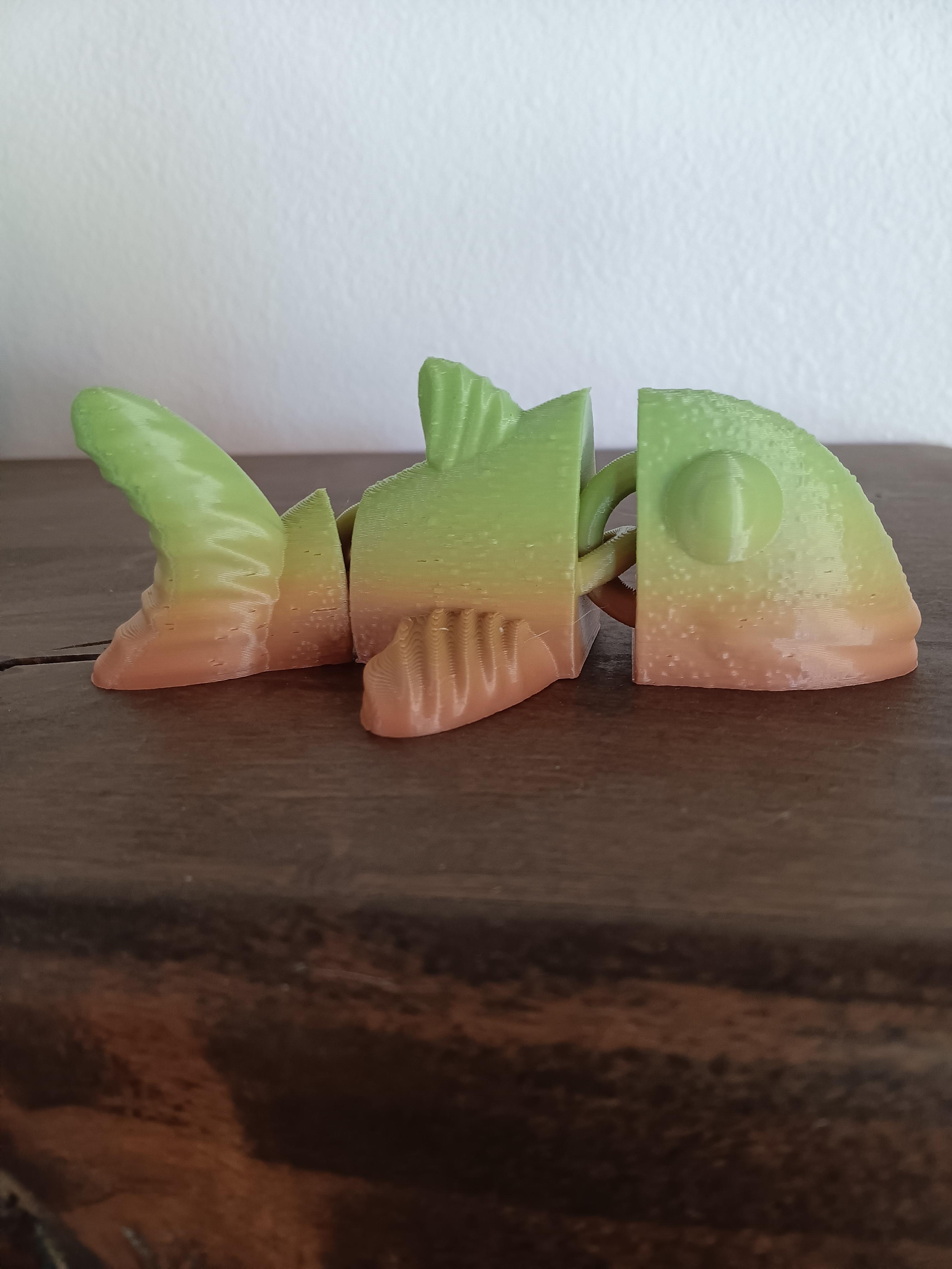 Flexi Goldfish fidget toy with magnet slots - articulated - print in place  3d model