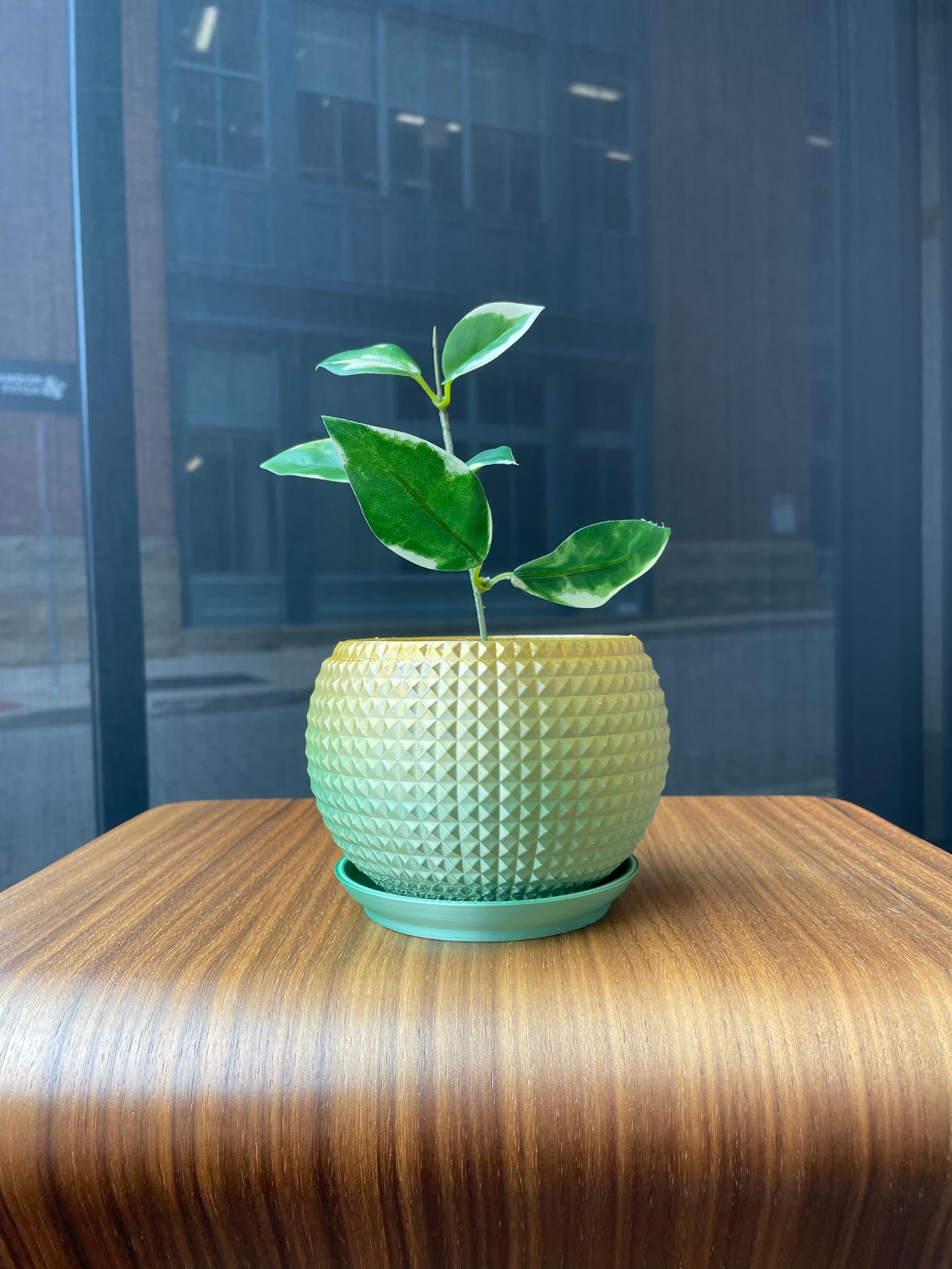 Textured Planter Series 3d model