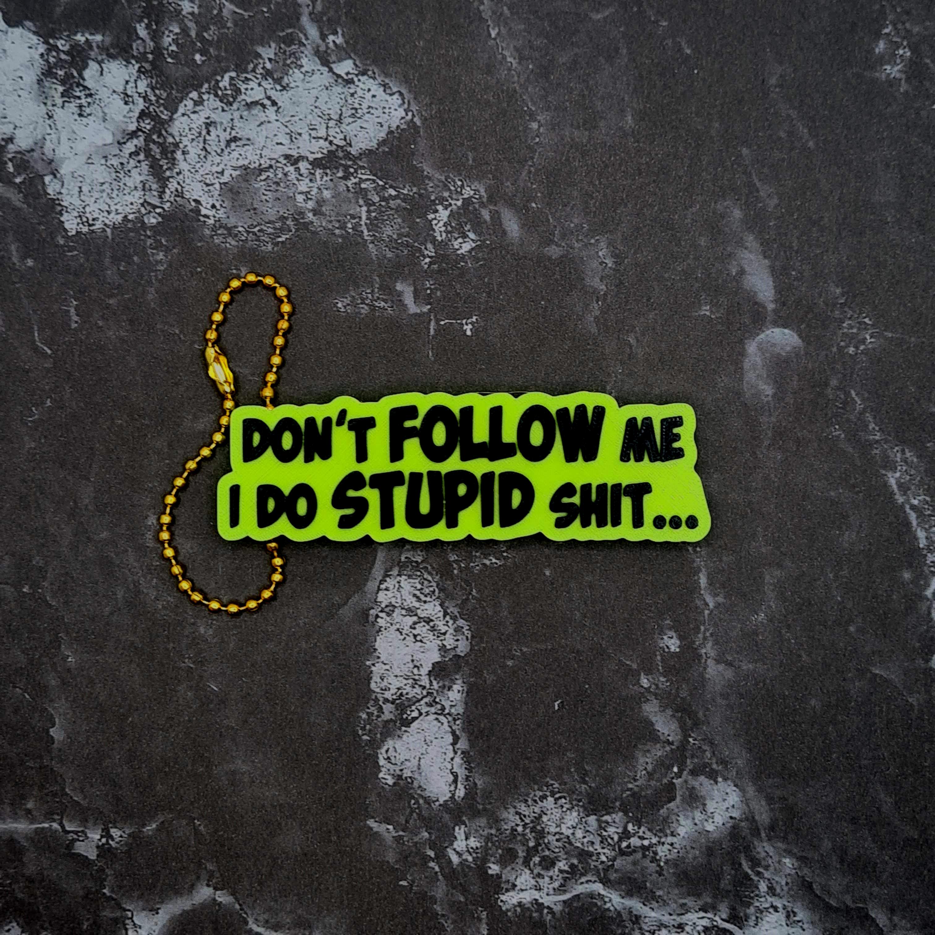 Don't Follow Me, I Do Stupid Sh*t Keychain 3d model