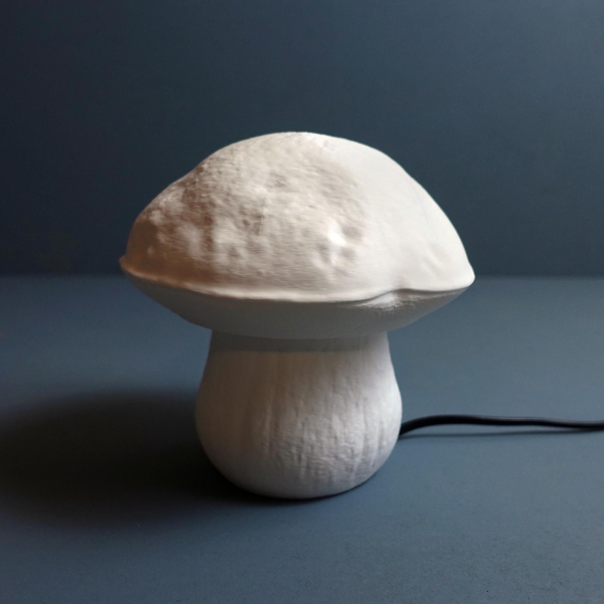 Mushroom lamp “Boletus Edulis” 3d model