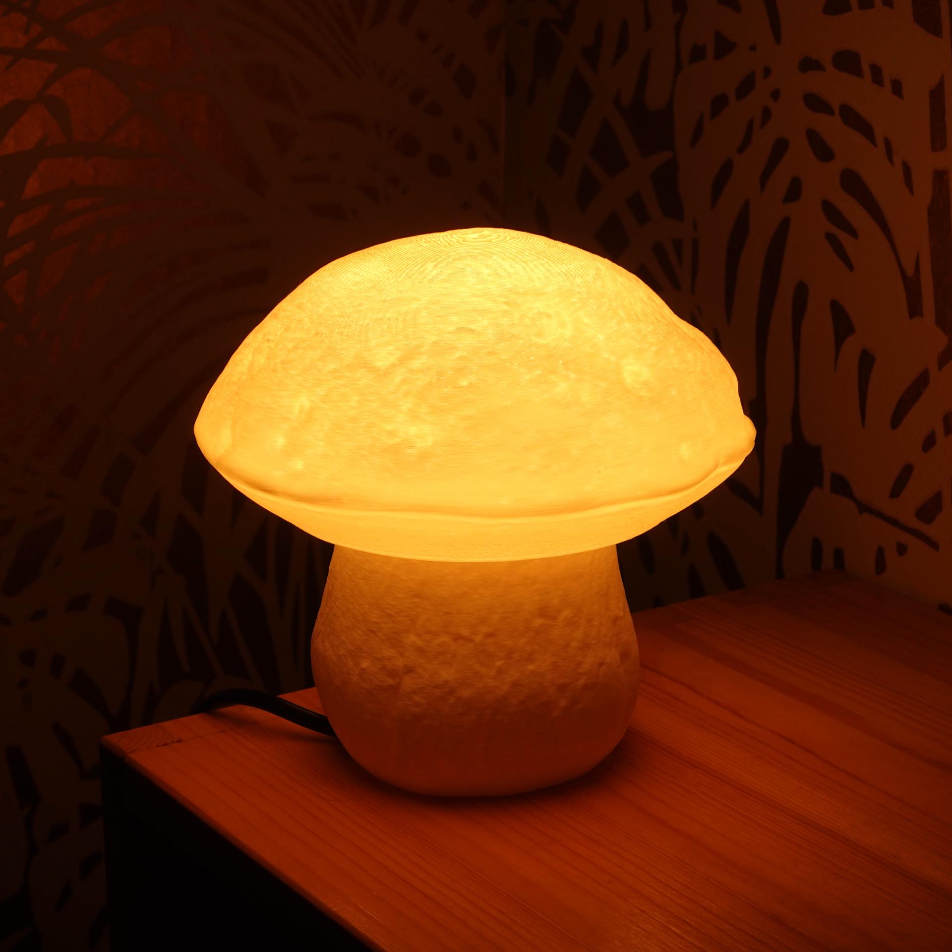 Mushroom lamp “Boletus Edulis” 3d model