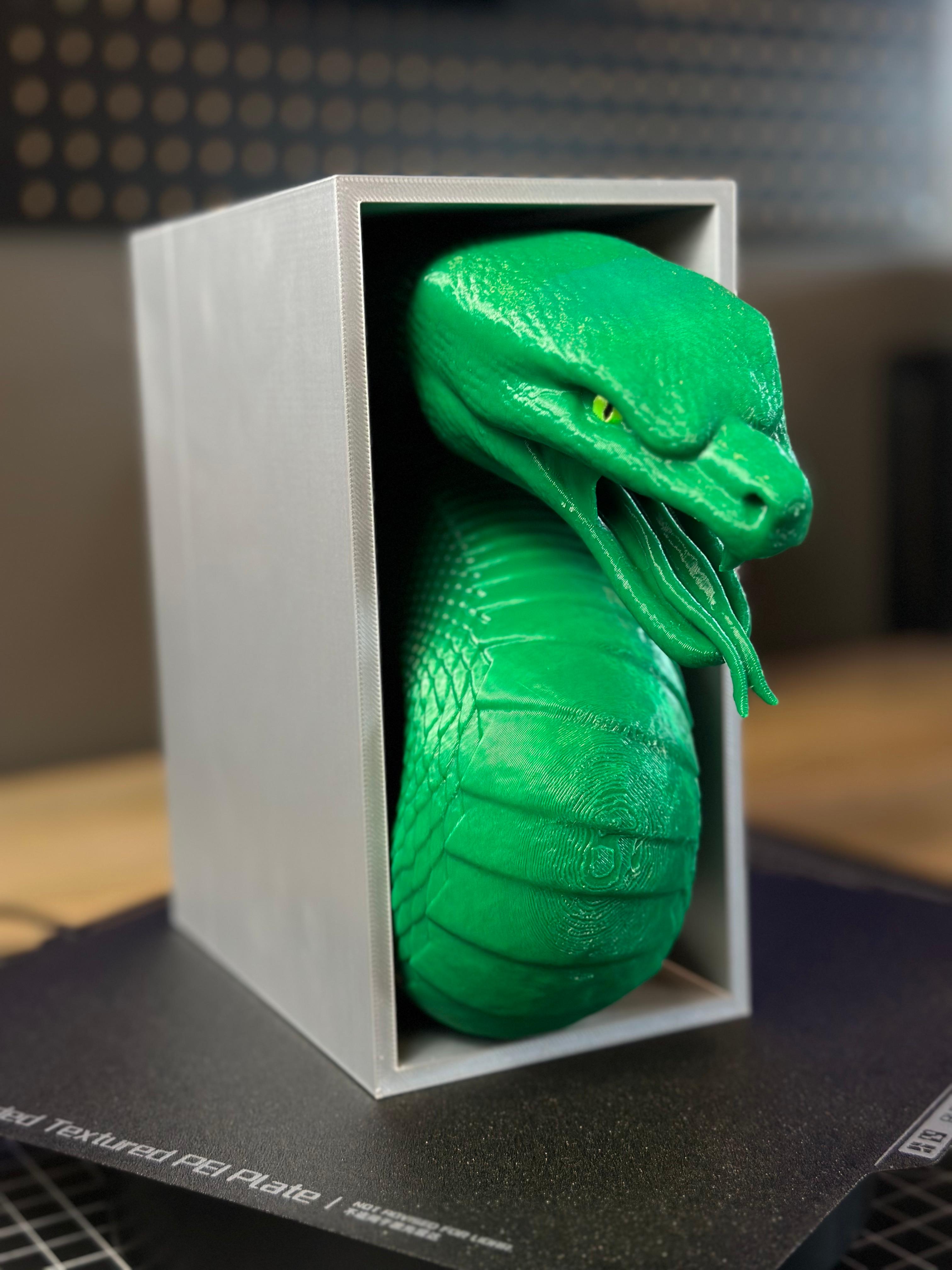 Snake Emerging- Slytherin Inspired Book Nook 3d model