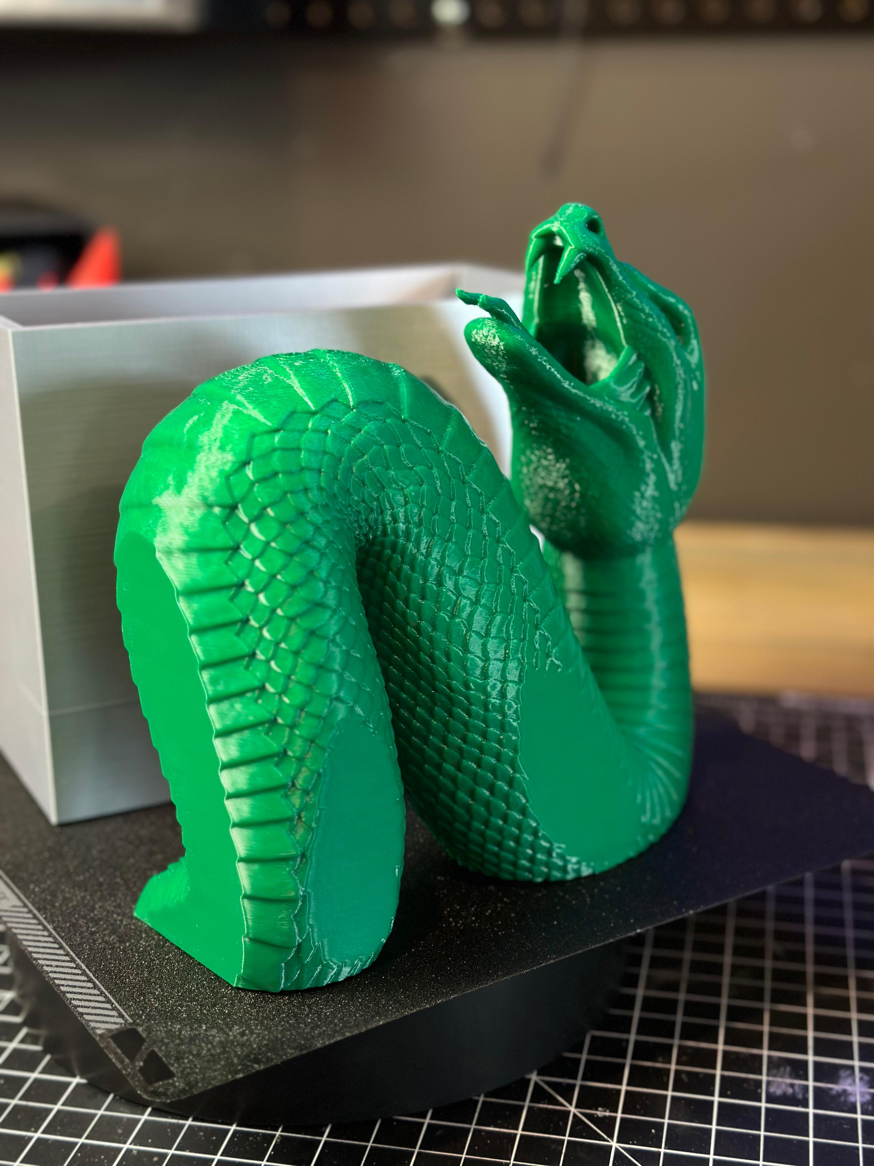 Snake Emerging- Slytherin Inspired Book Nook 3d model