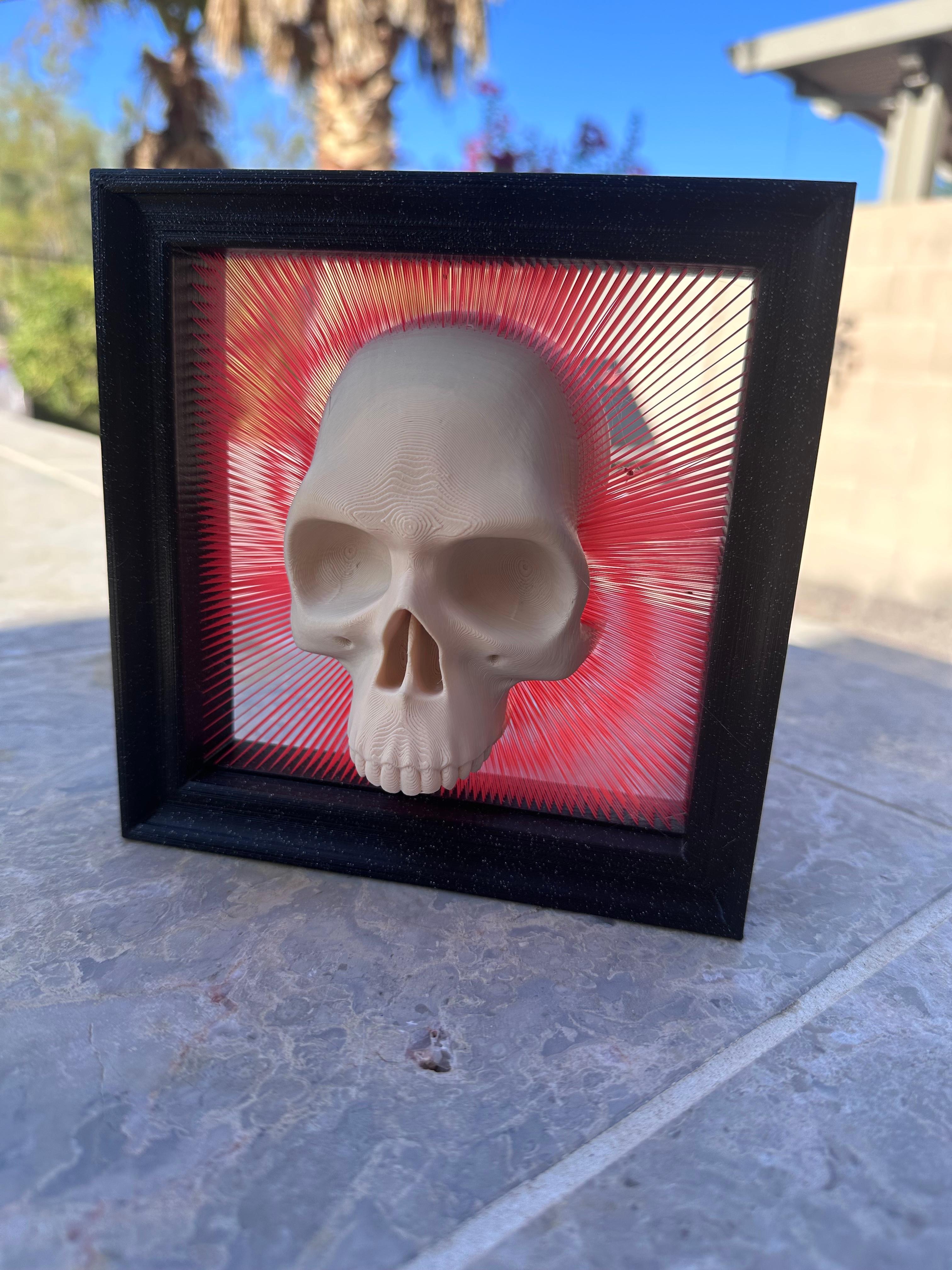 Framed Skull Tensegrity Skull Box - V2 with wall hanging, and frame 3d model