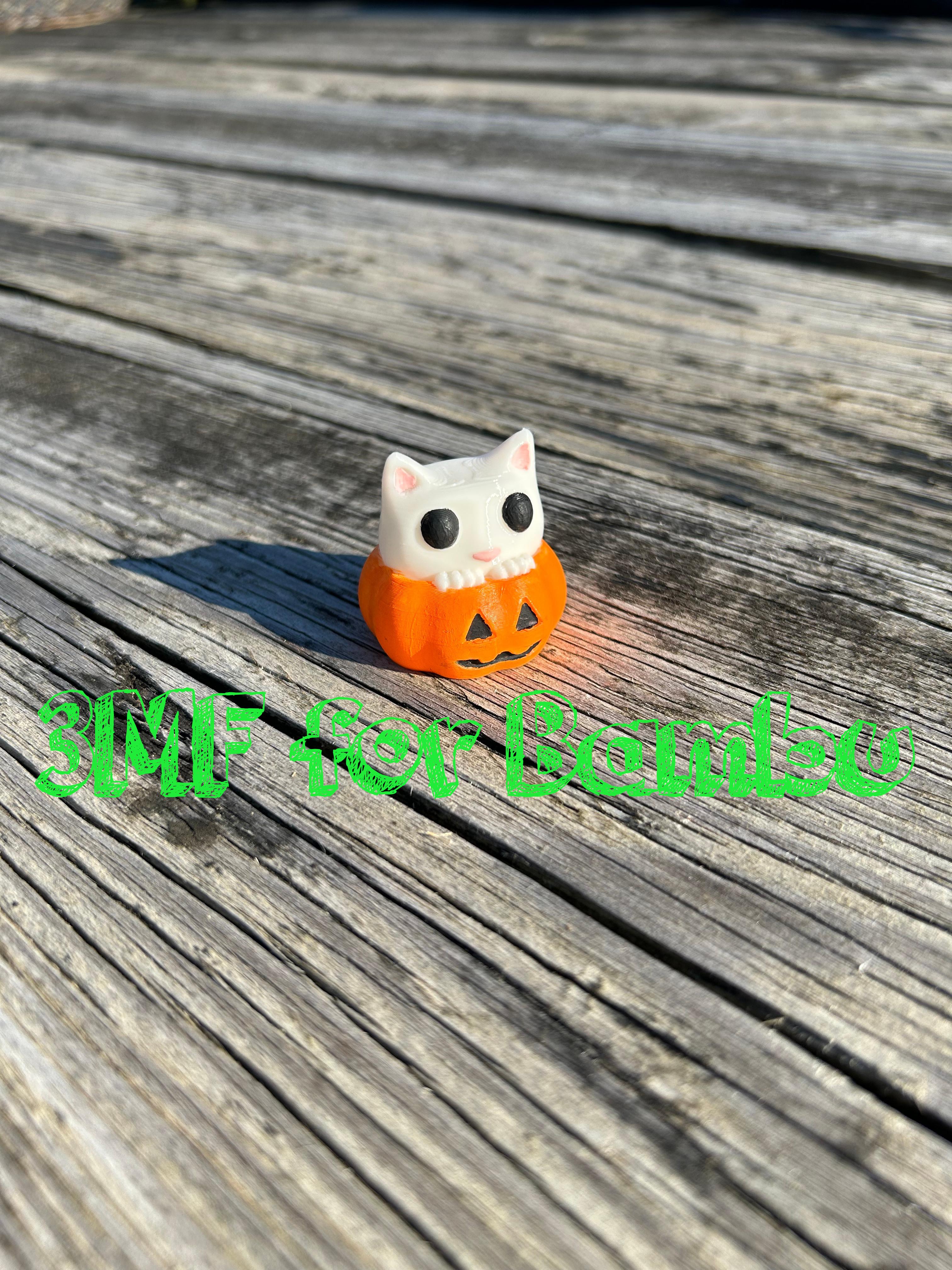 Cat Sitting in Pumpkin ams 3d model