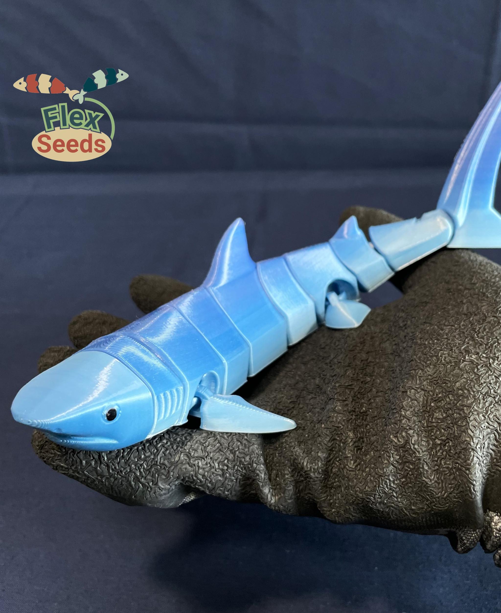 Flexi Tiger Shark (Print-in-place) 3d model