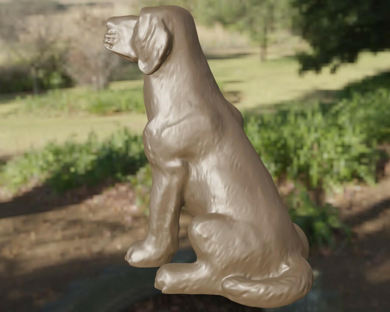 Labrador 3d model